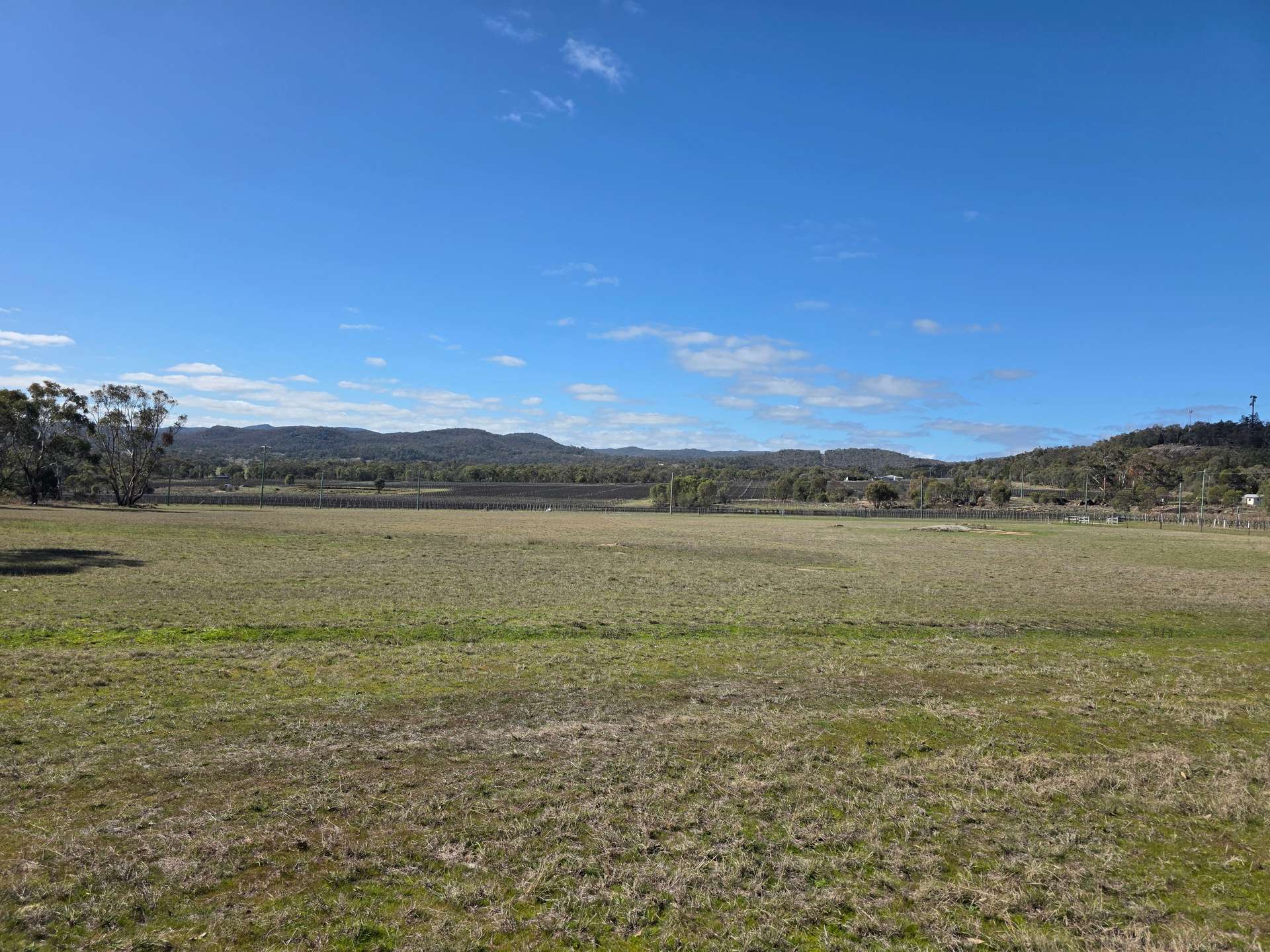 181 Bents Road, Ballandean For Sale by Farmbuy.com - image 3