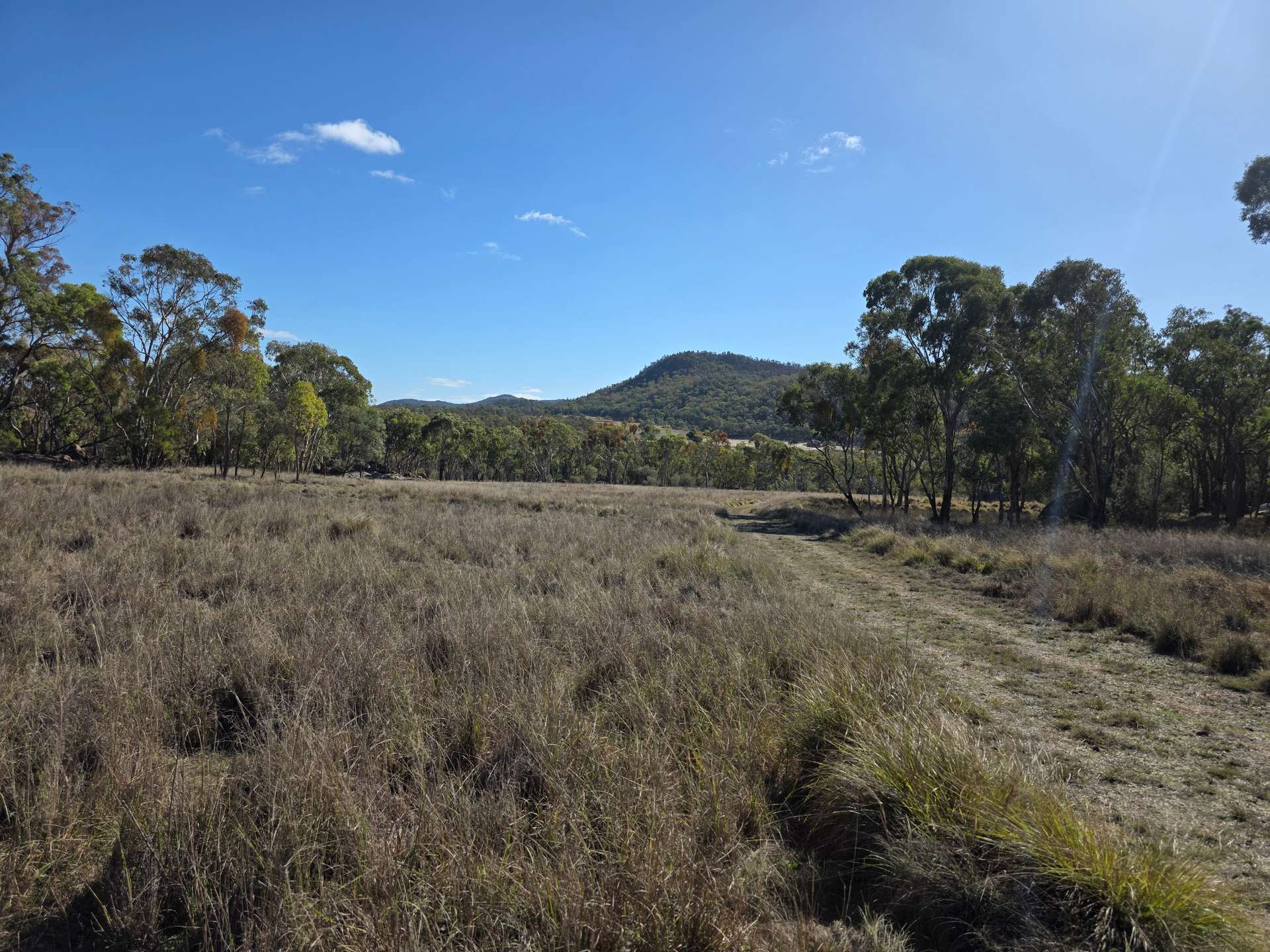 181 Bents Road, Ballandean For Sale by Farmbuy.com - image 10