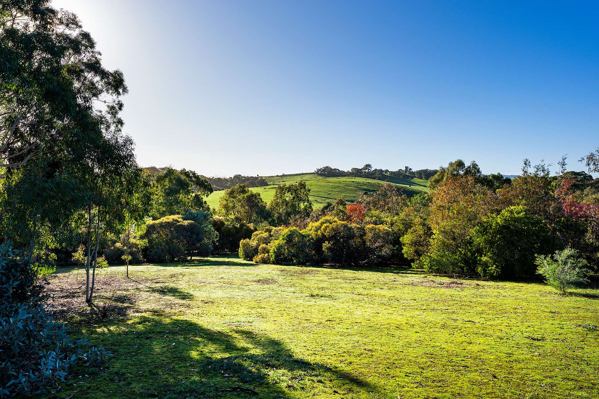 383 White Gum Road, Barkers Creek For Sale by Farmbuy.com - image 20