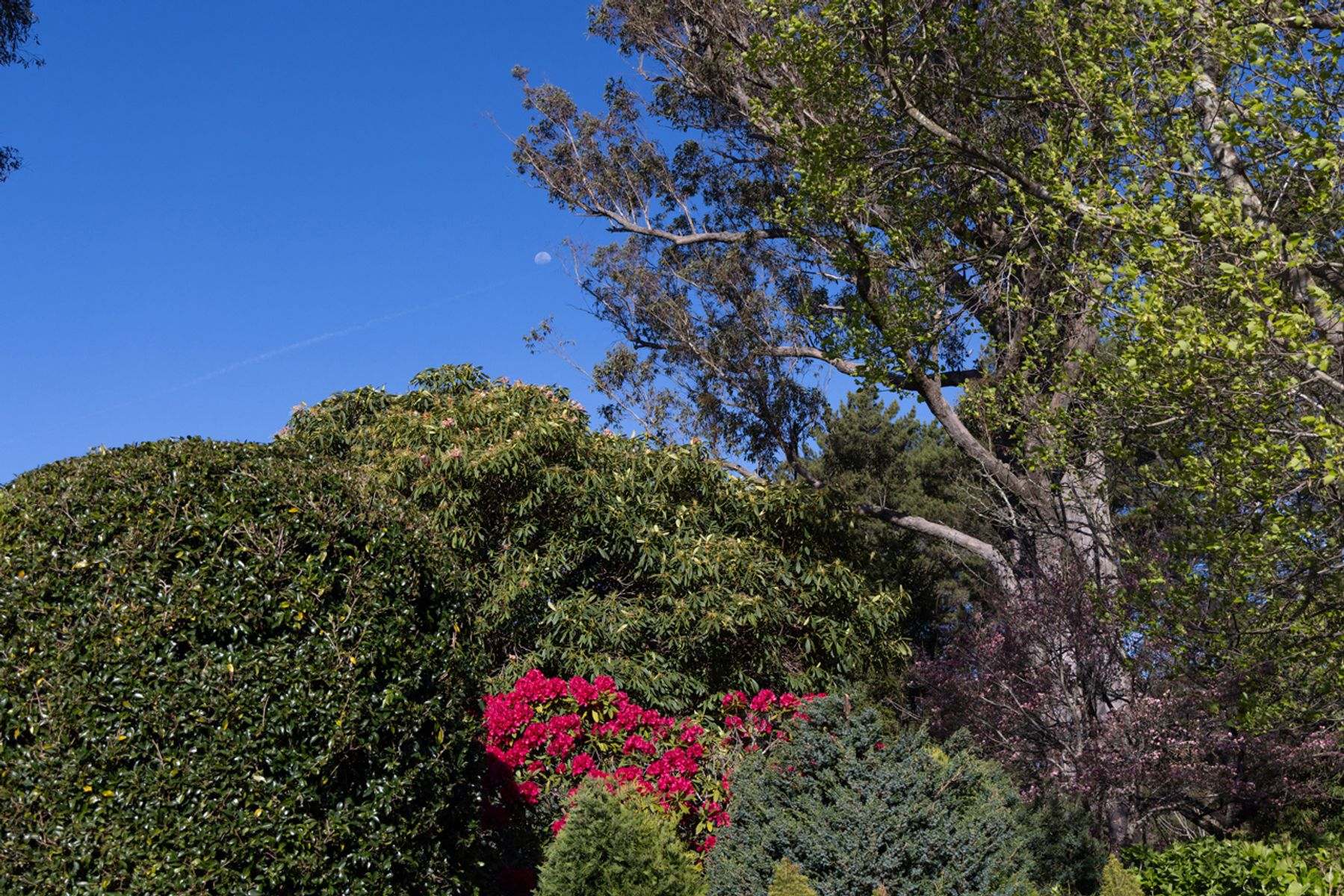 632 Old Argyle Road, Exeter For Sale by Farmbuy.com - image 33