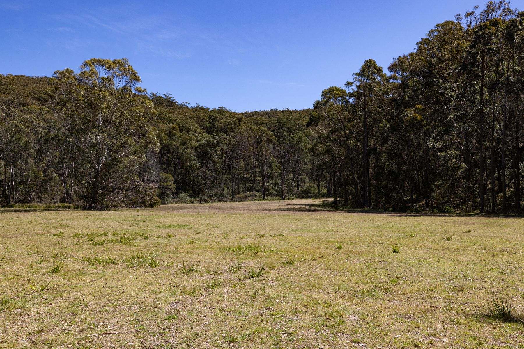 632 Old Argyle Road, Exeter For Sale by Farmbuy.com - image 22