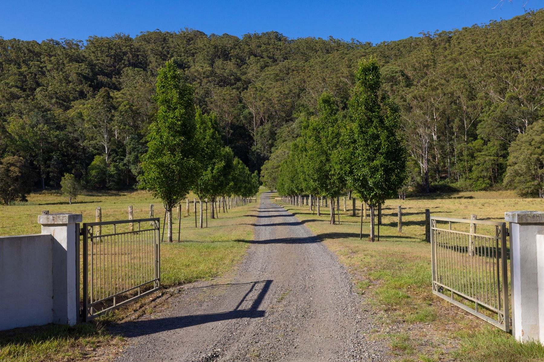 56 Kemp Lane, Martinsville For Sale by Farmbuy.com - image 28