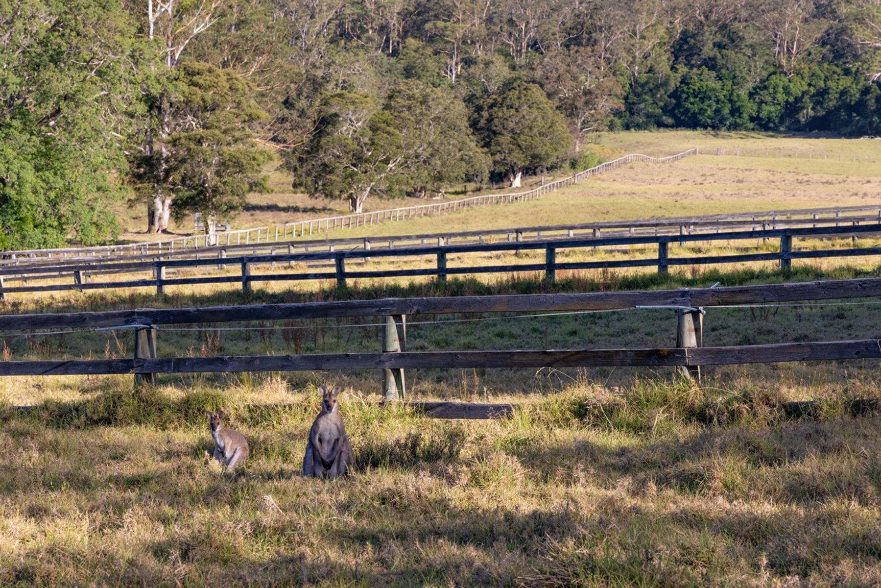 56 Kemp Lane, Martinsville For Sale by Farmbuy.com - image 25