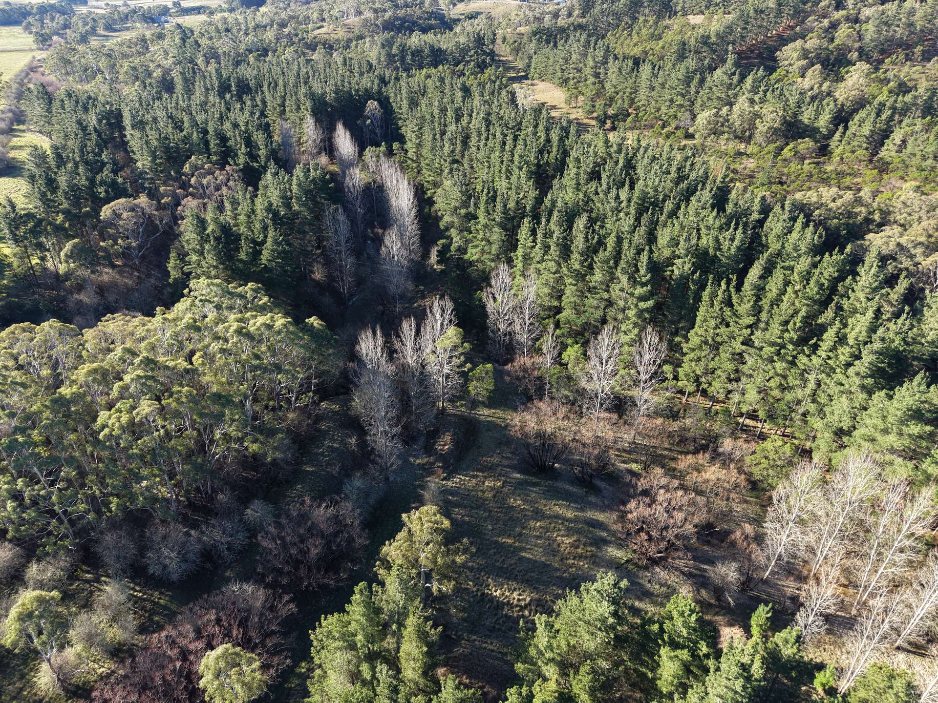 496 Inverary Road, Bungonia For Sale by Farmbuy.com - image 10