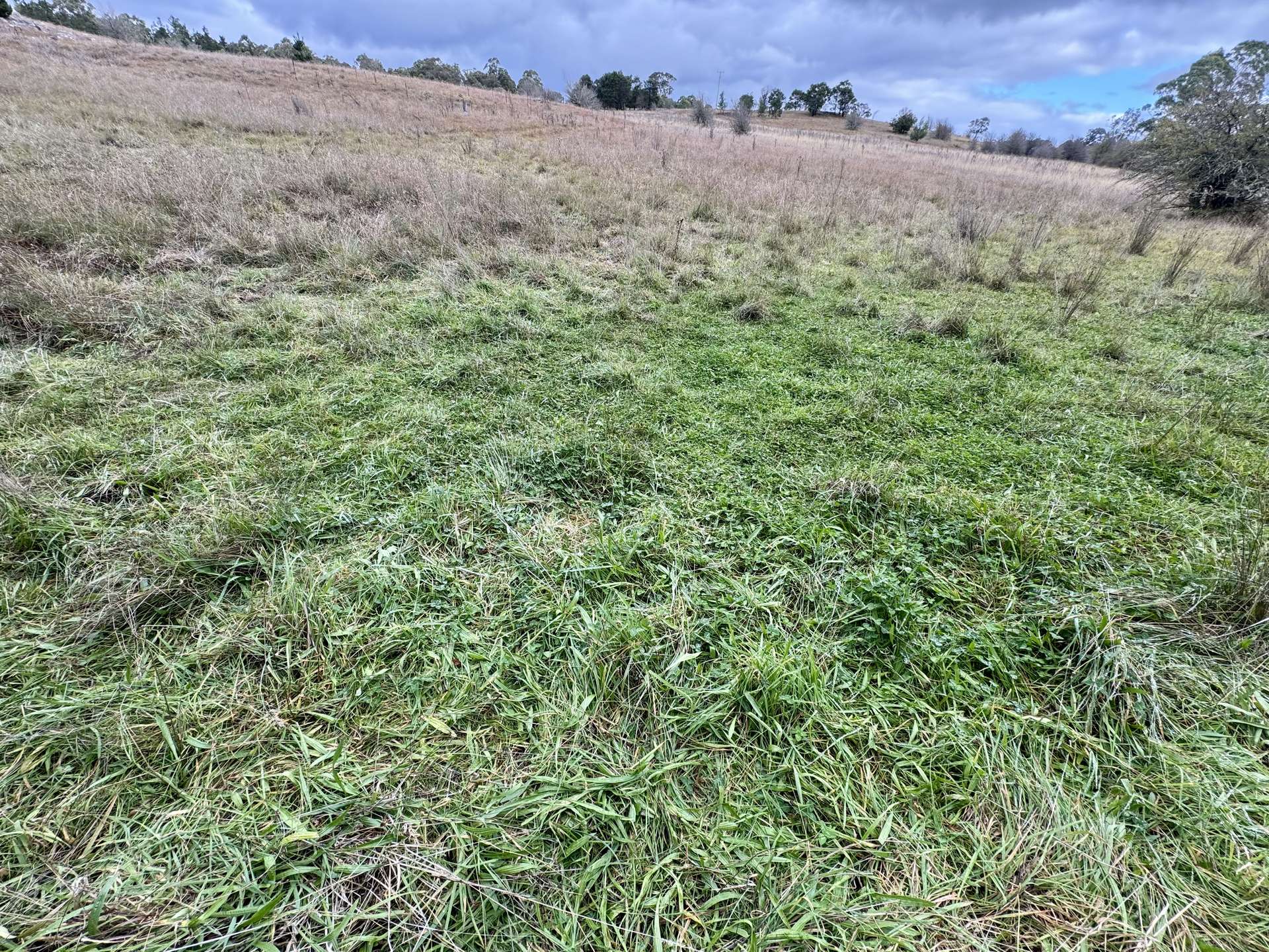 496 Inverary Road, Bungonia For Sale by Farmbuy.com - image 3