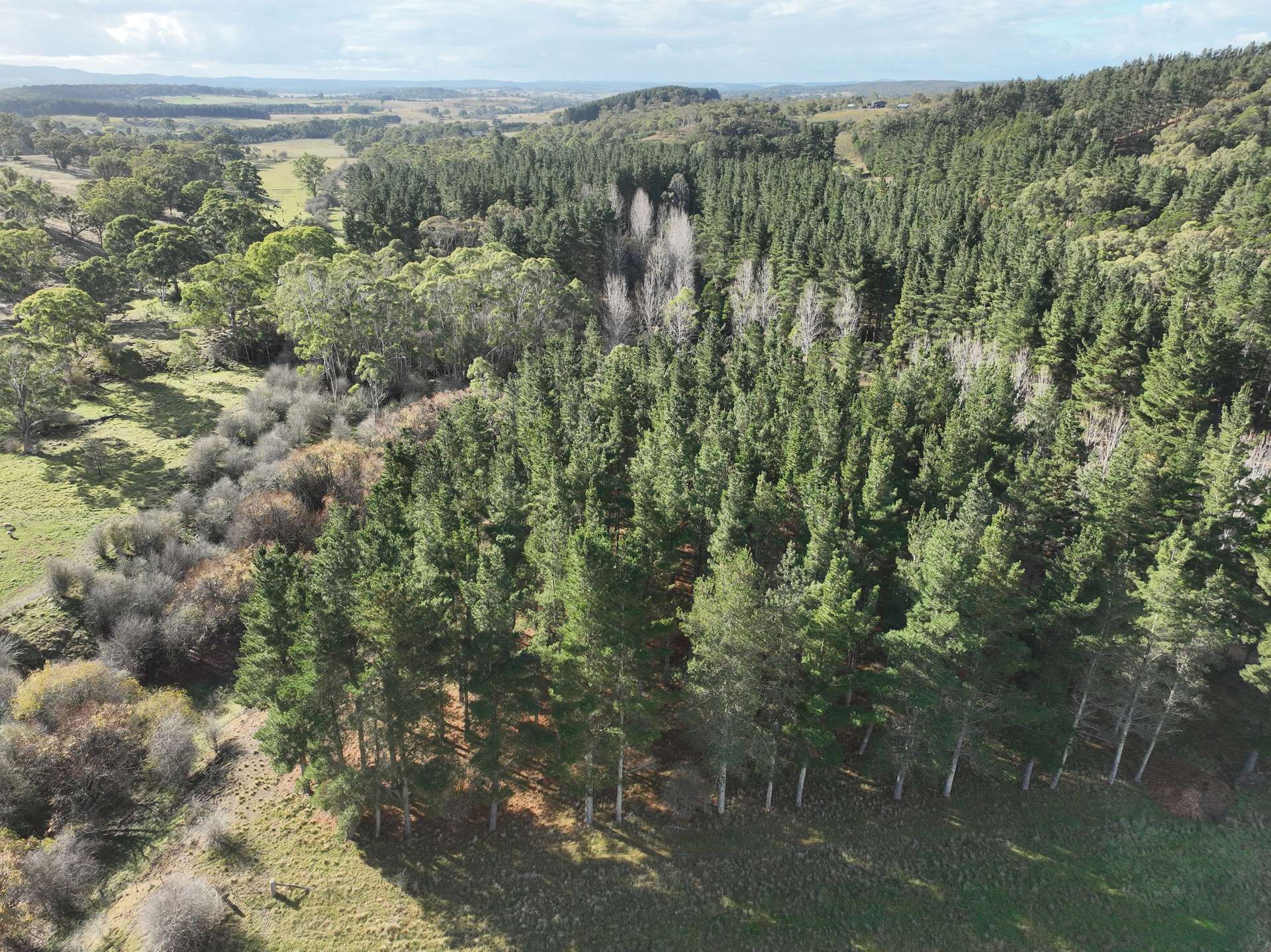 496 Inverary Road, Bungonia For Sale by Farmbuy.com - image 2