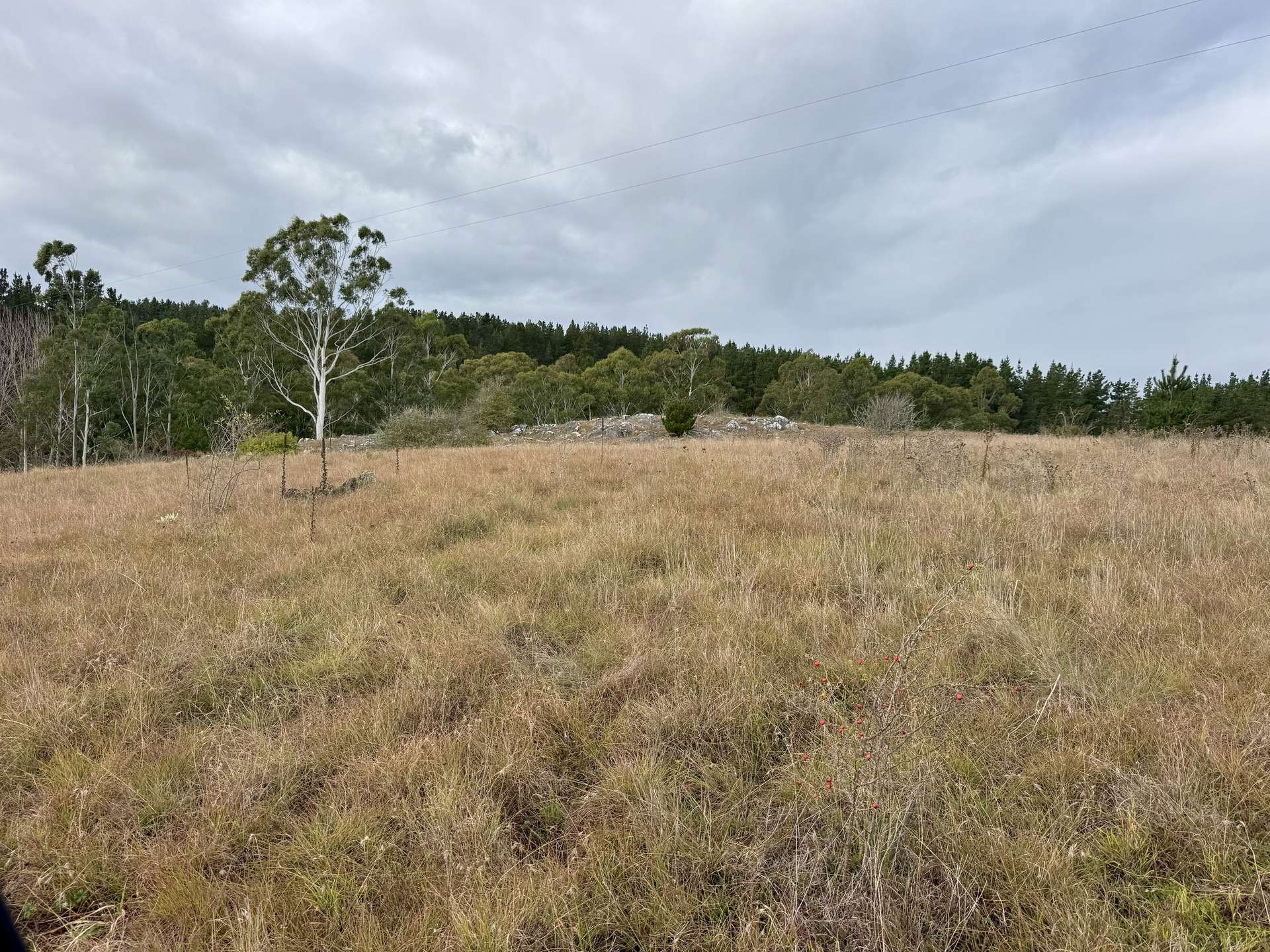 496 Inverary Road, Bungonia For Sale by Farmbuy.com - image 17