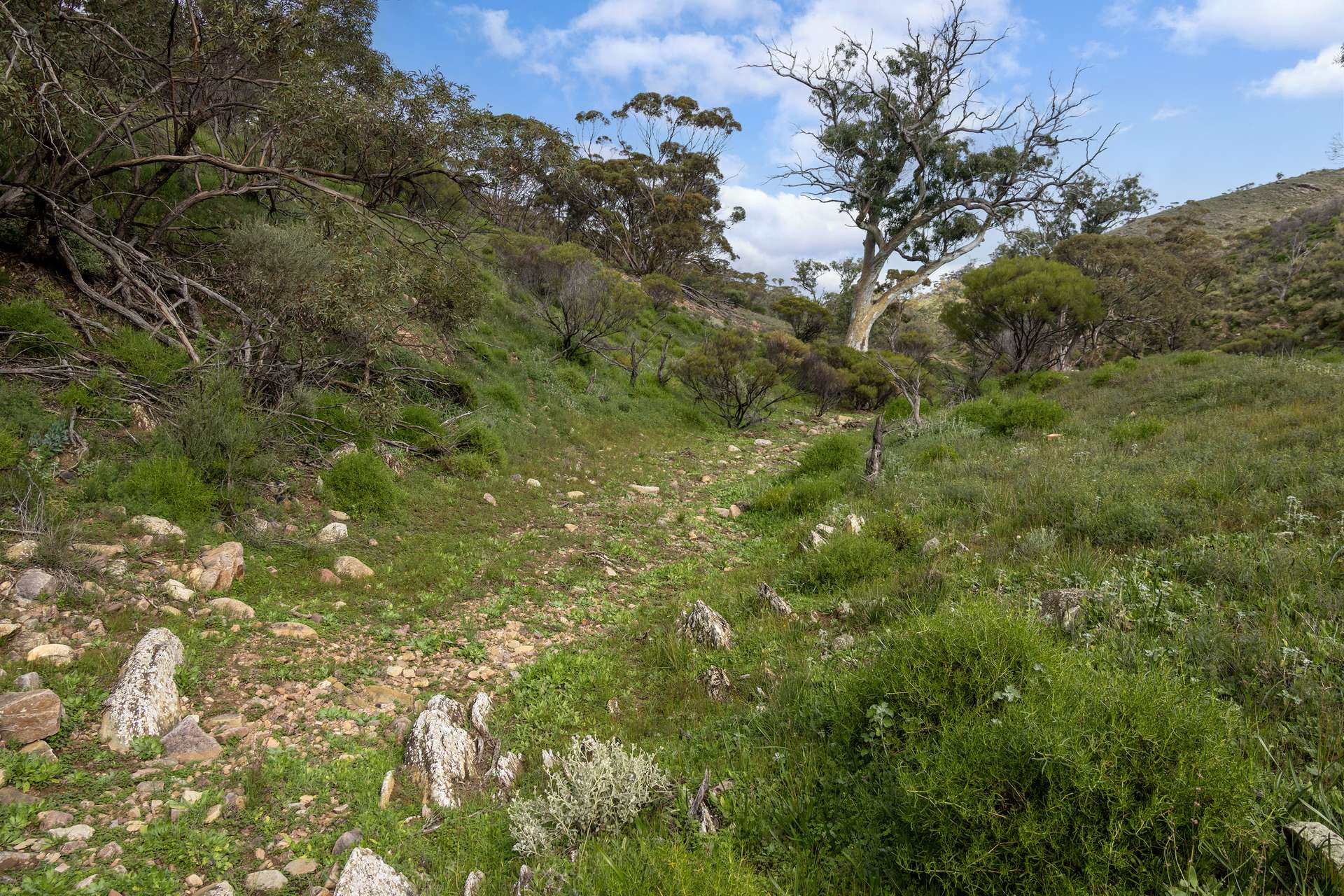 Lot 243 Flinders Ranges Way, Quorn For Sale by Farmbuy.com - image 2