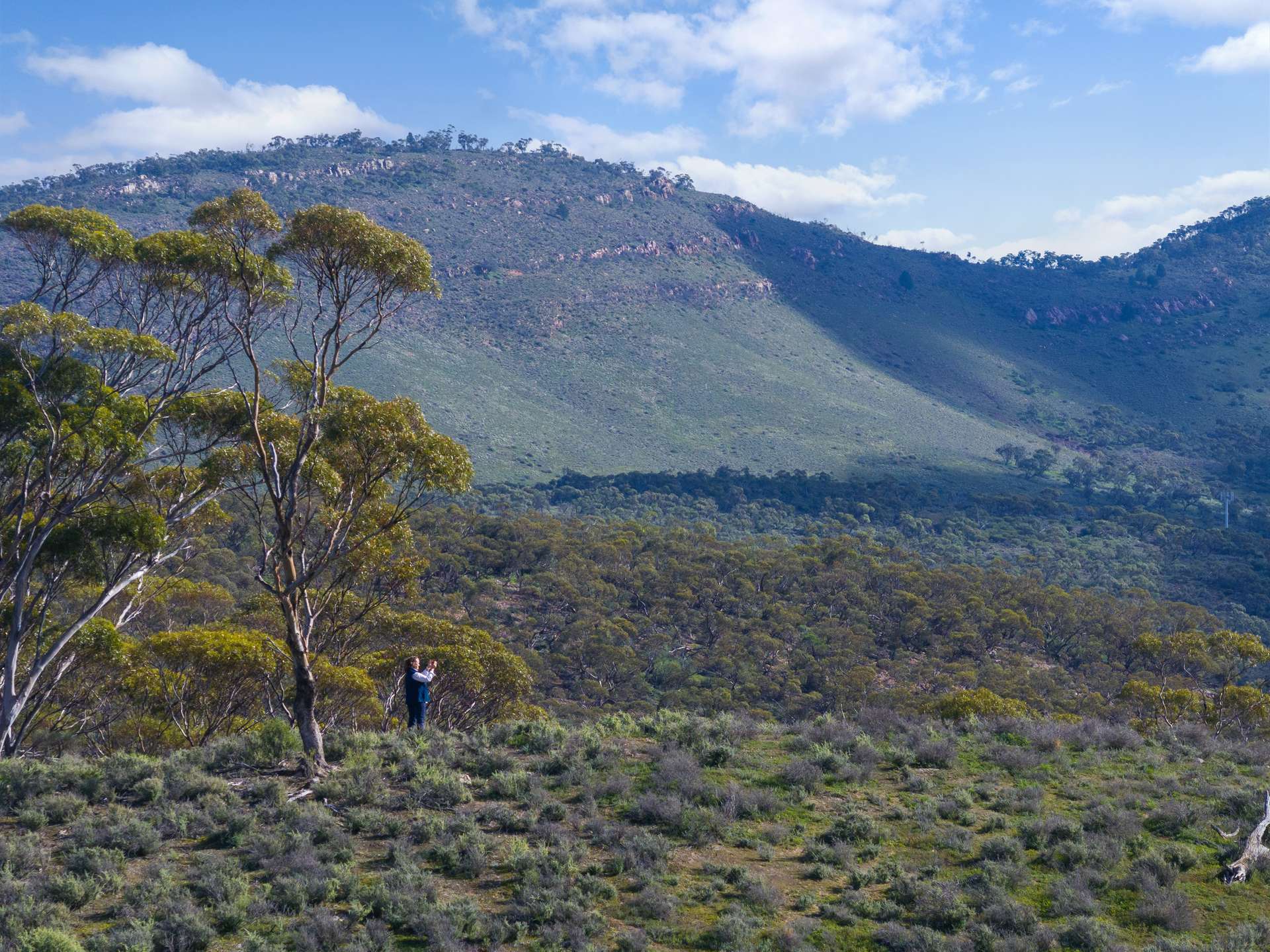 Lot 243 Flinders Ranges Way, Quorn For Sale by Farmbuy.com - image 11