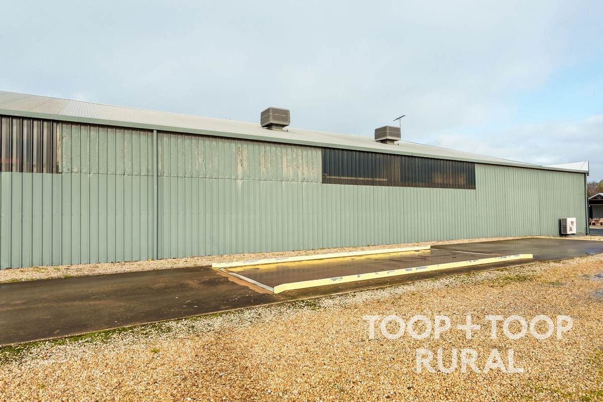 6 Wilberth Street, Tanunda For Sale by Farmbuy.com - image 19