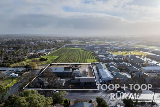Farm For Sale - SA - Tanunda - 5352 - Prime Barossa Real Estate 