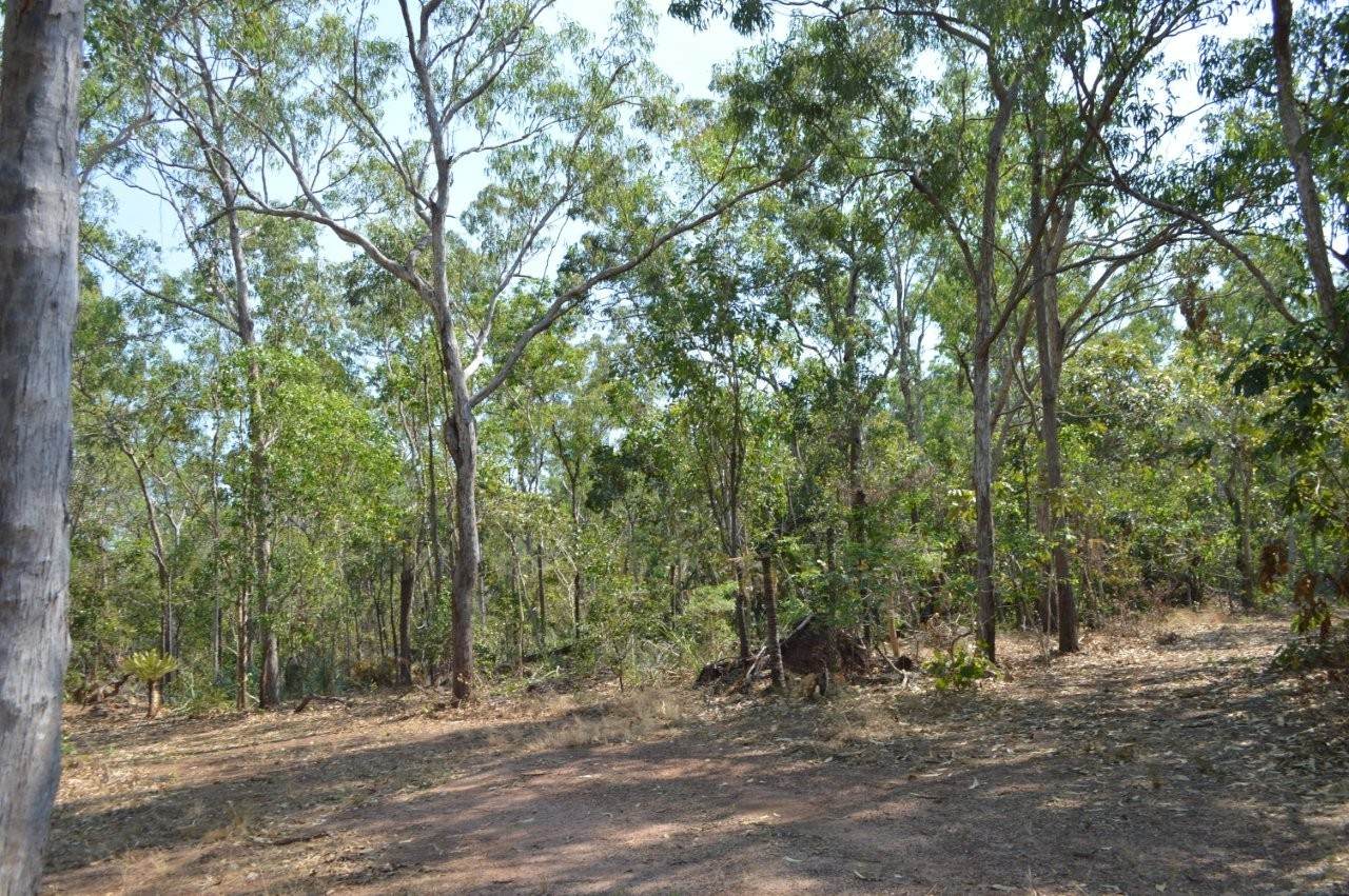 Dundee Beach For Sale by Farmbuy.com - image 10