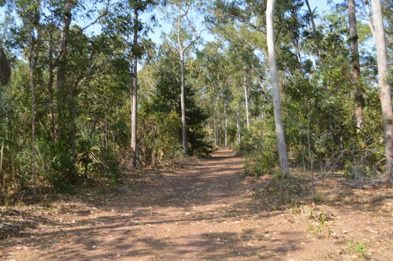 Dundee Beach For Sale by Farmbuy.com - image 28