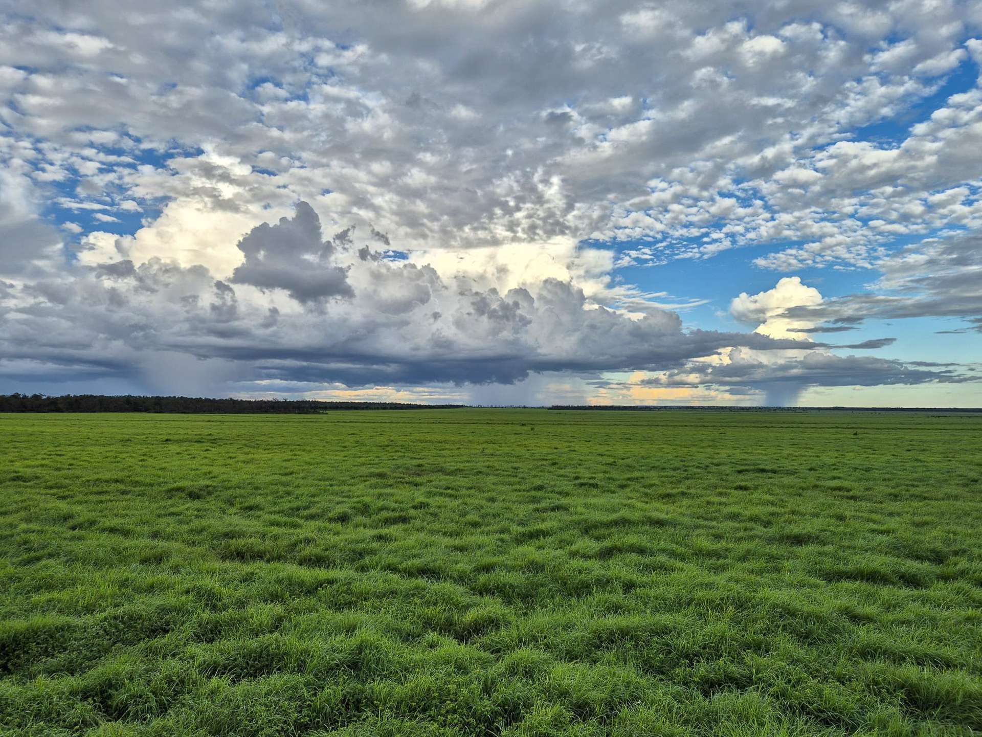 0 Blackbull Station, Douglas-daly For Sale by Farmbuy.com - image 9