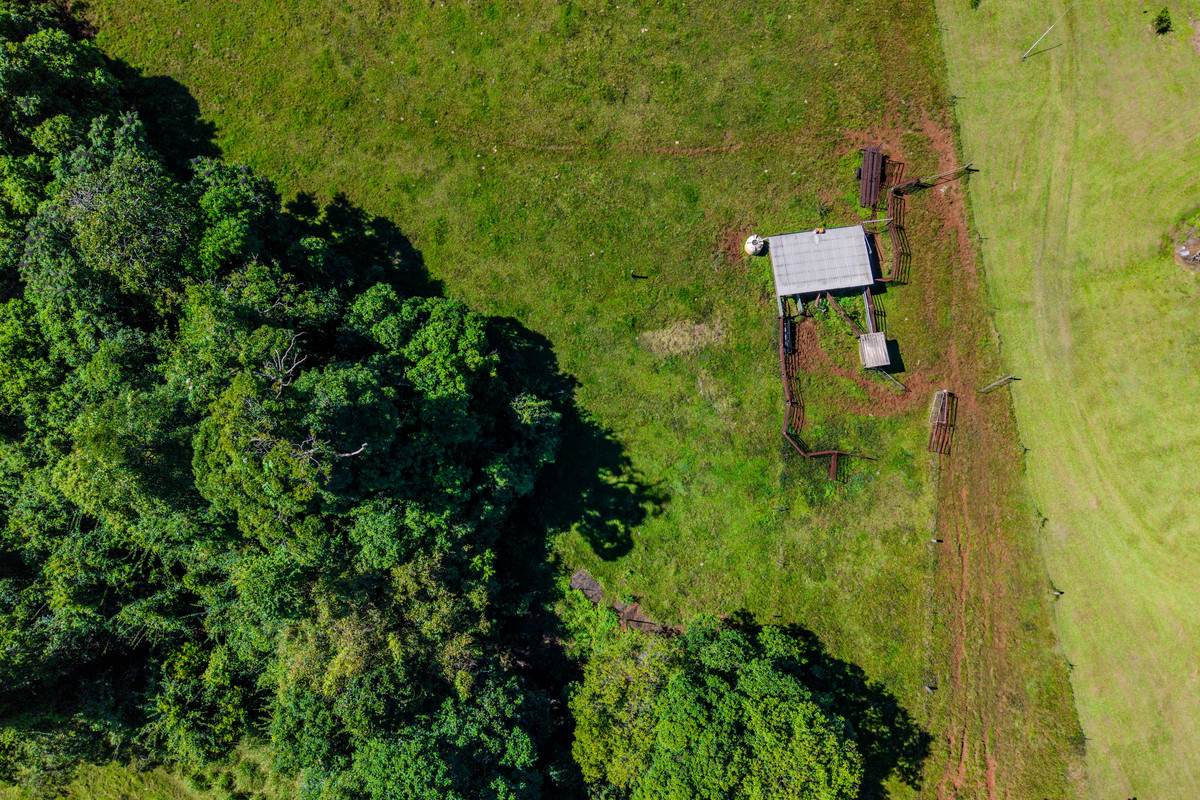 571 Dunne Road, Nerada For Sale by Farmbuy.com - image 15