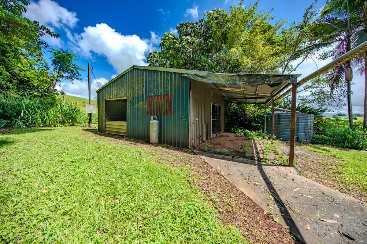 1964F Palmerston Highway, East Palmerston For Sale by Farmbuy.com - image 8