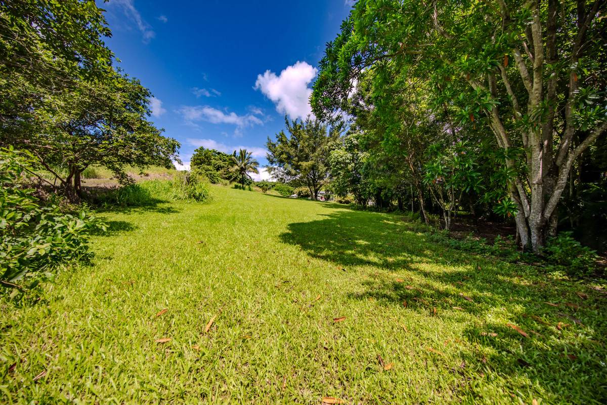 1964F Palmerston Highway, East Palmerston For Sale by Farmbuy.com - image 7