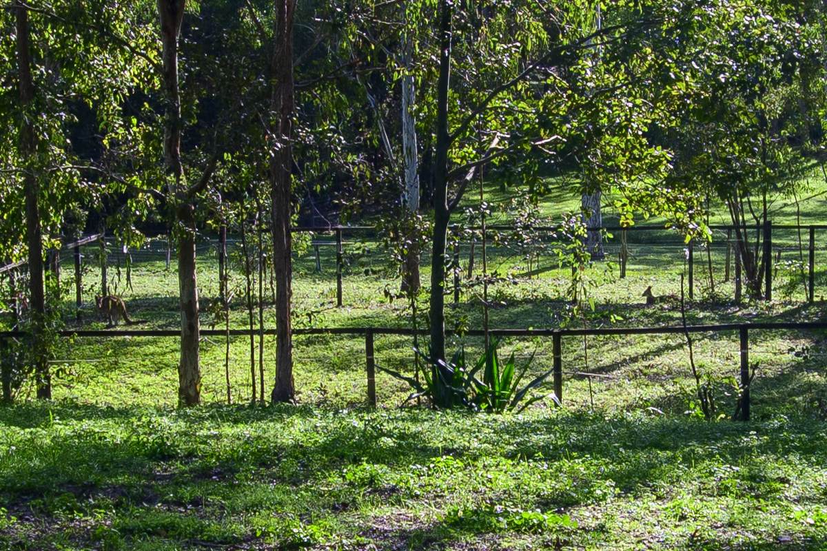 10 Harper Road, Bellmere For Sale by Farmbuy.com - image 23
