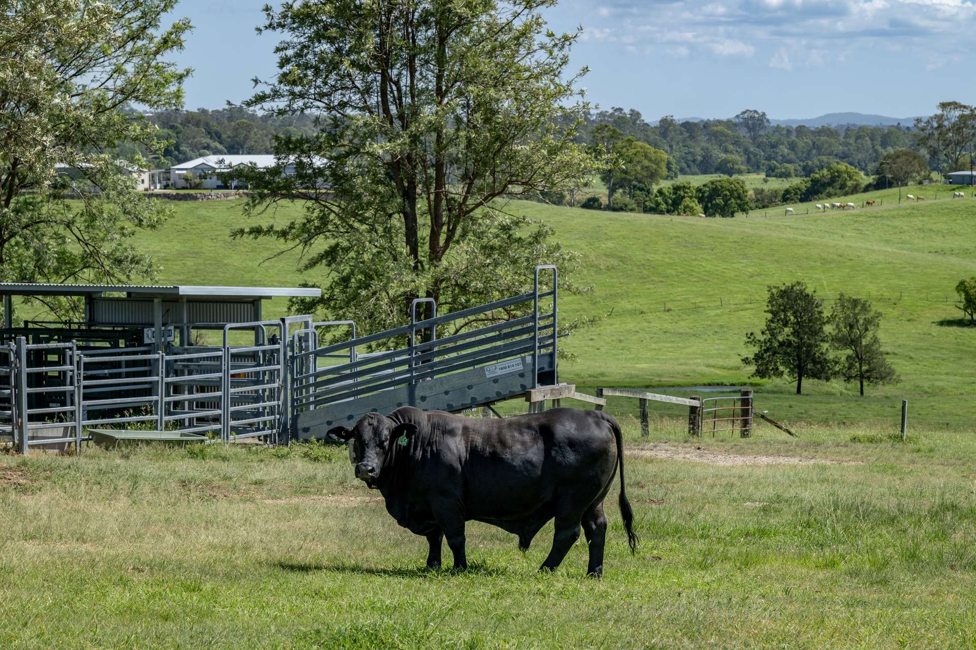 75 Kajarabie Road, Lagoon Pocket Auction by Farmbuy.com - image 33