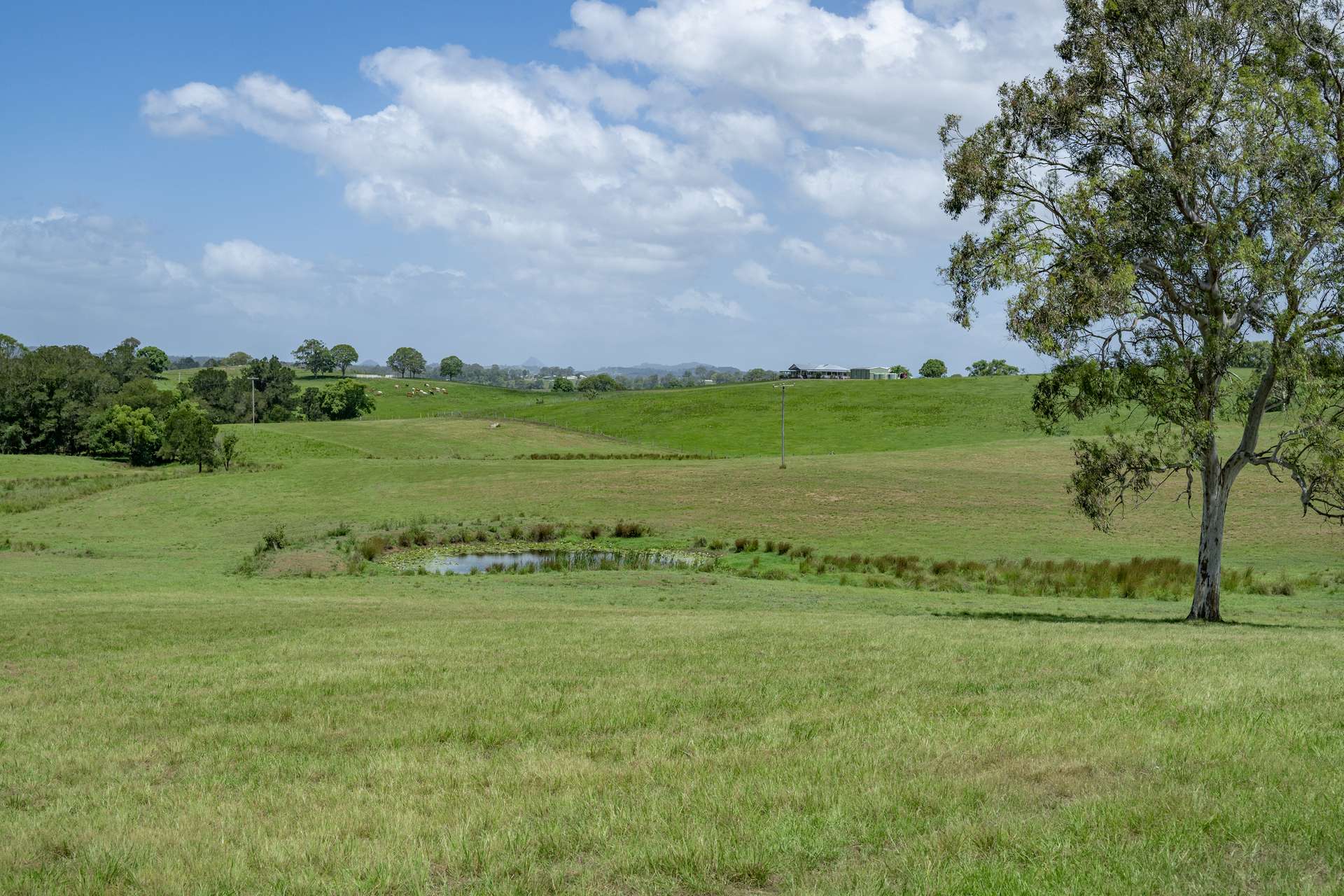 75 Kajarabie Road, Lagoon Pocket Auction by Farmbuy.com - image 32