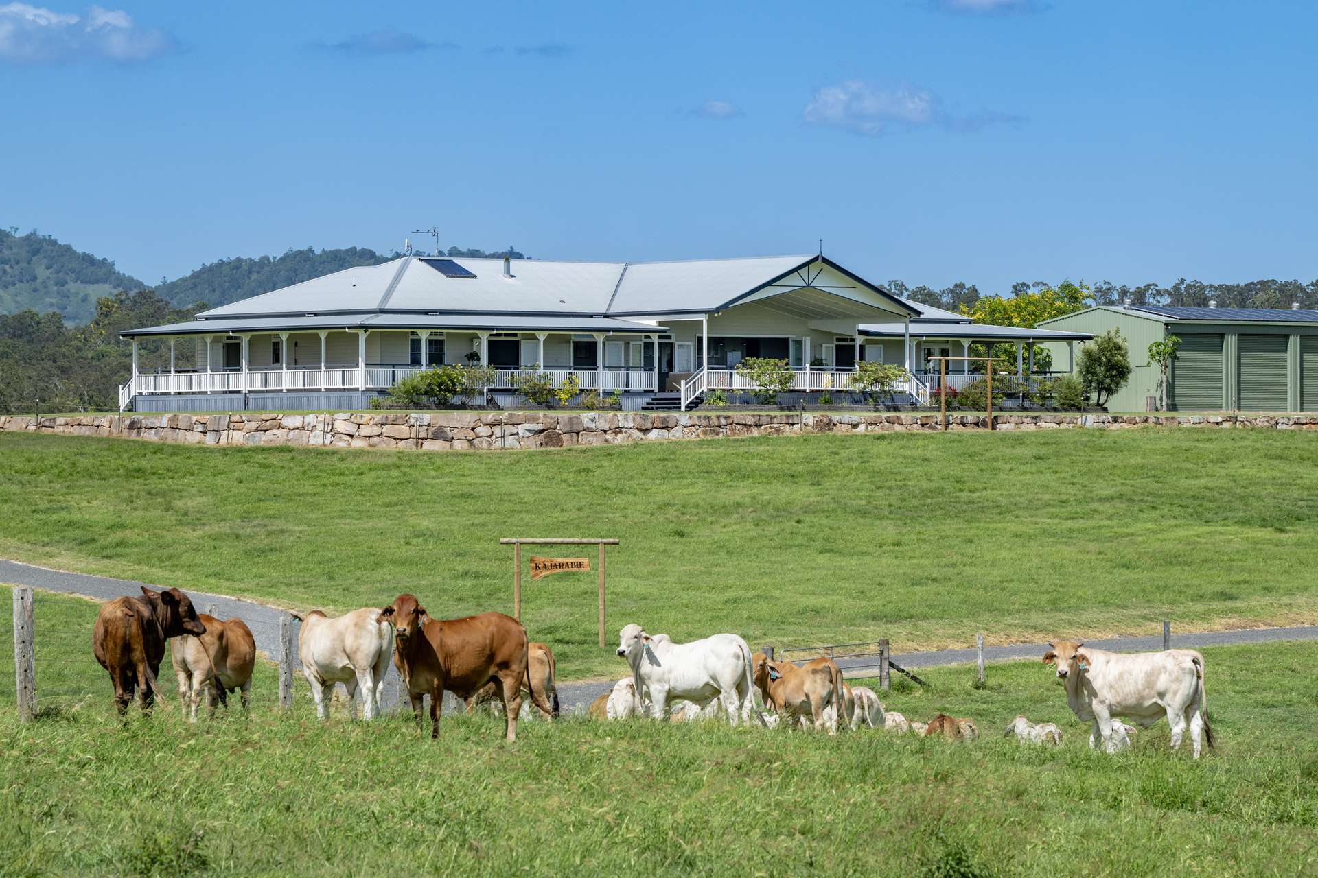 75 Kajarabie Road, Lagoon Pocket Auction by Farmbuy.com - image 6