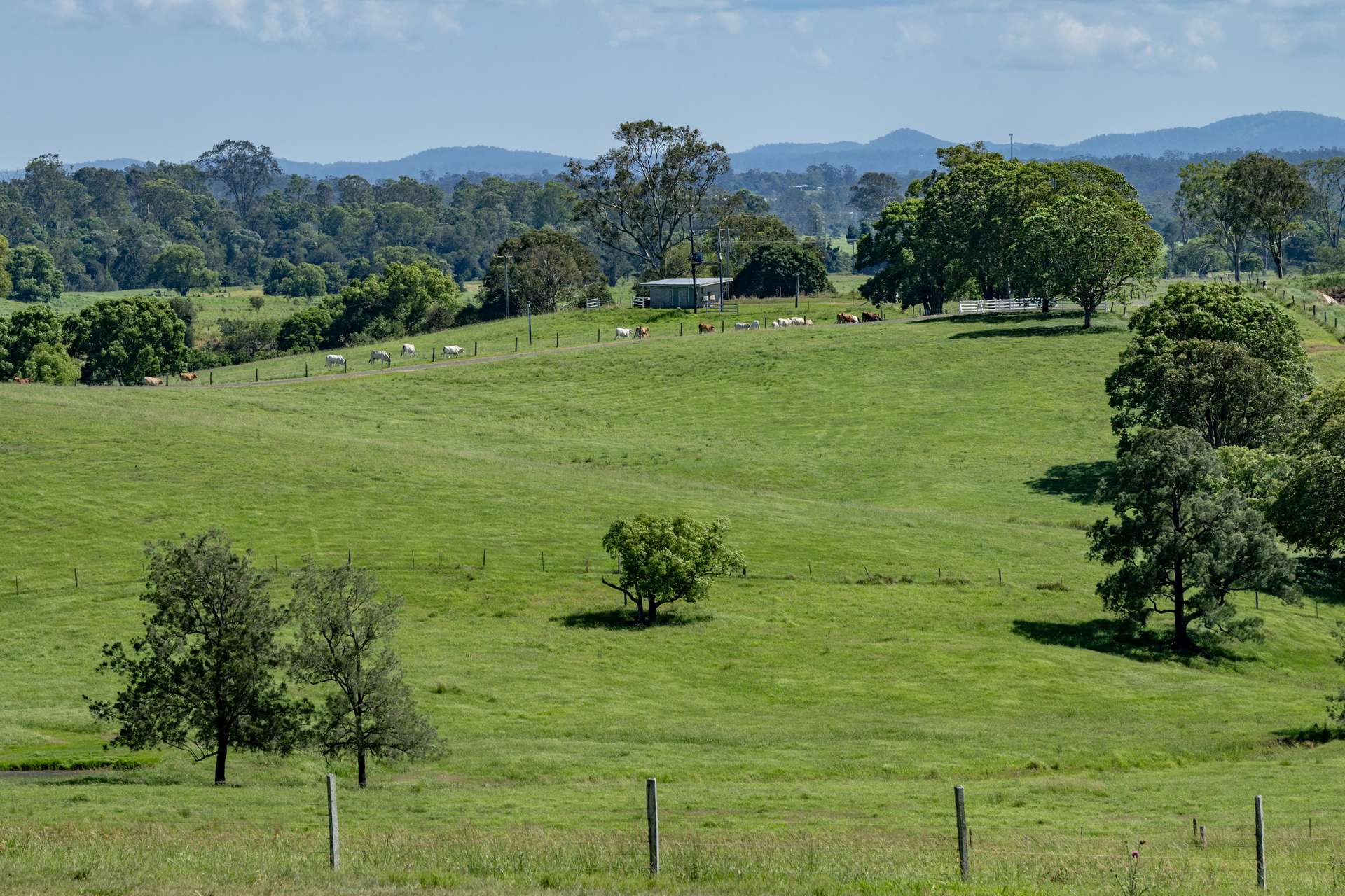 75 Kajarabie Road, Lagoon Pocket Auction by Farmbuy.com - image 27