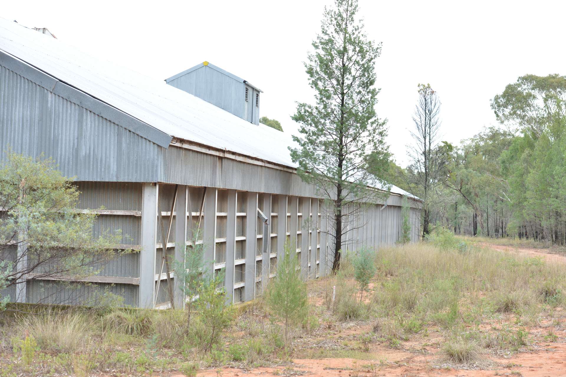 12 Baradine Road, Bugaldie Auction by Farmbuy.com - image 13