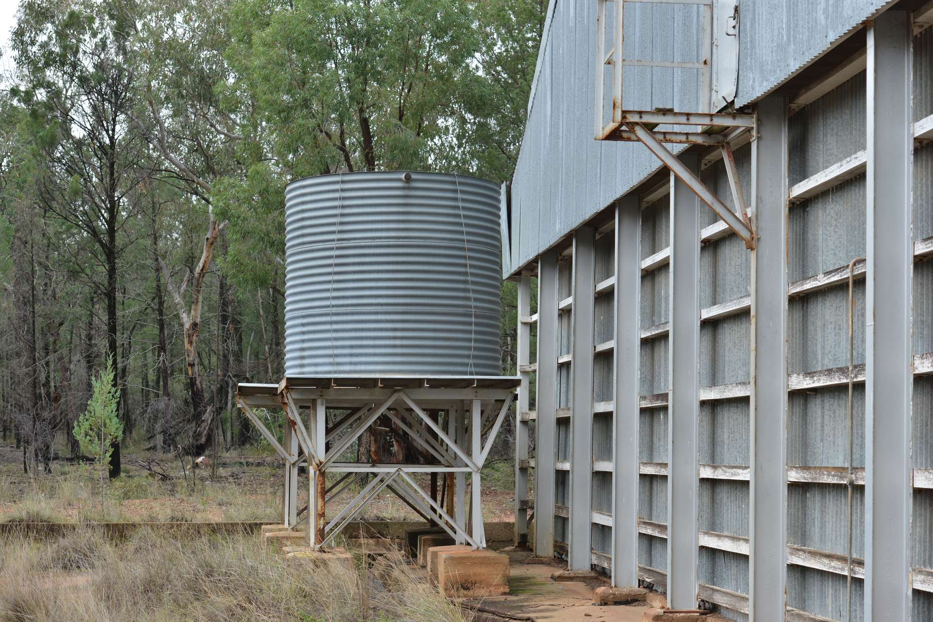 12 Baradine Road, Bugaldie Auction by Farmbuy.com - image 17