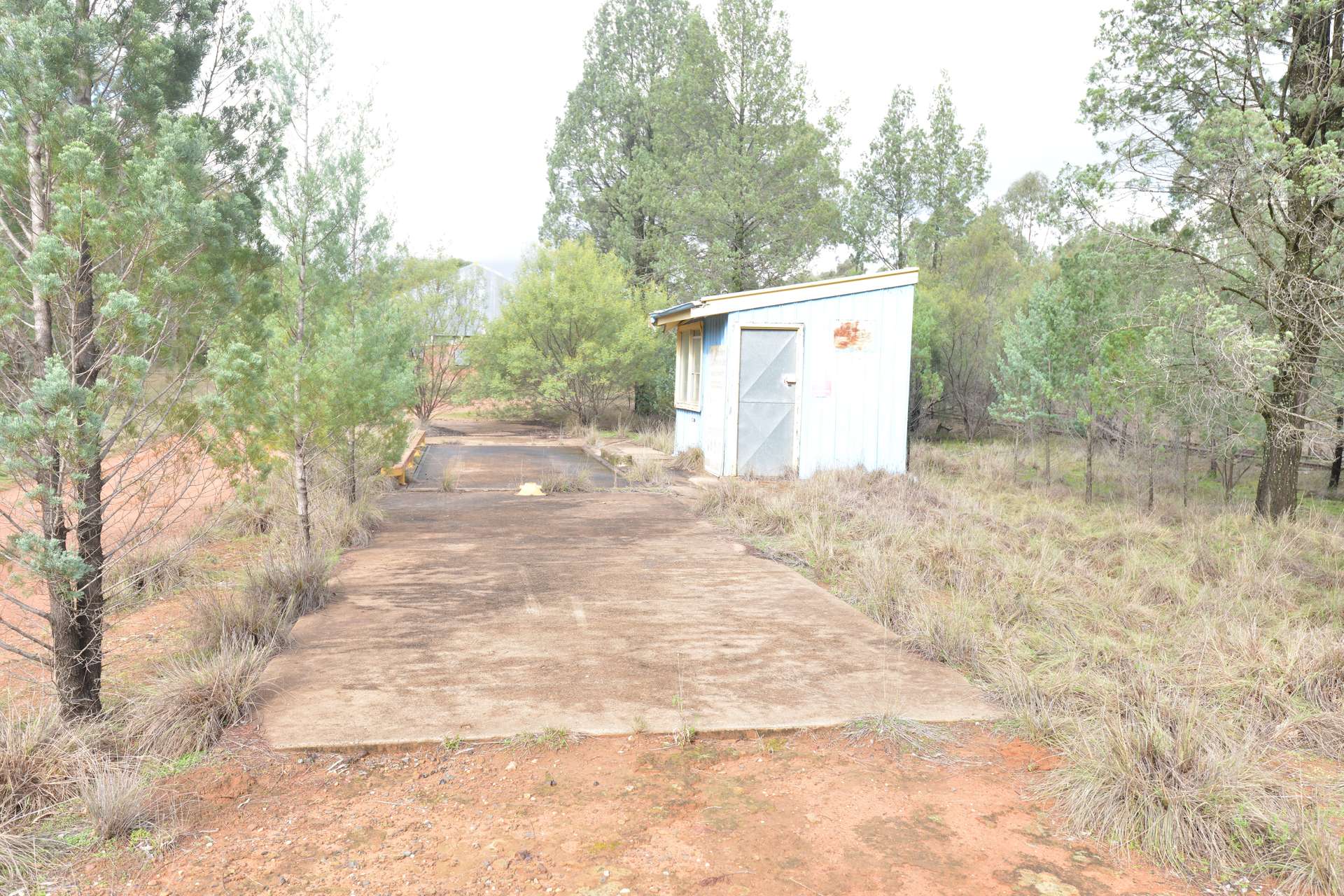 12 Baradine Road, Bugaldie Auction by Farmbuy.com - image 21