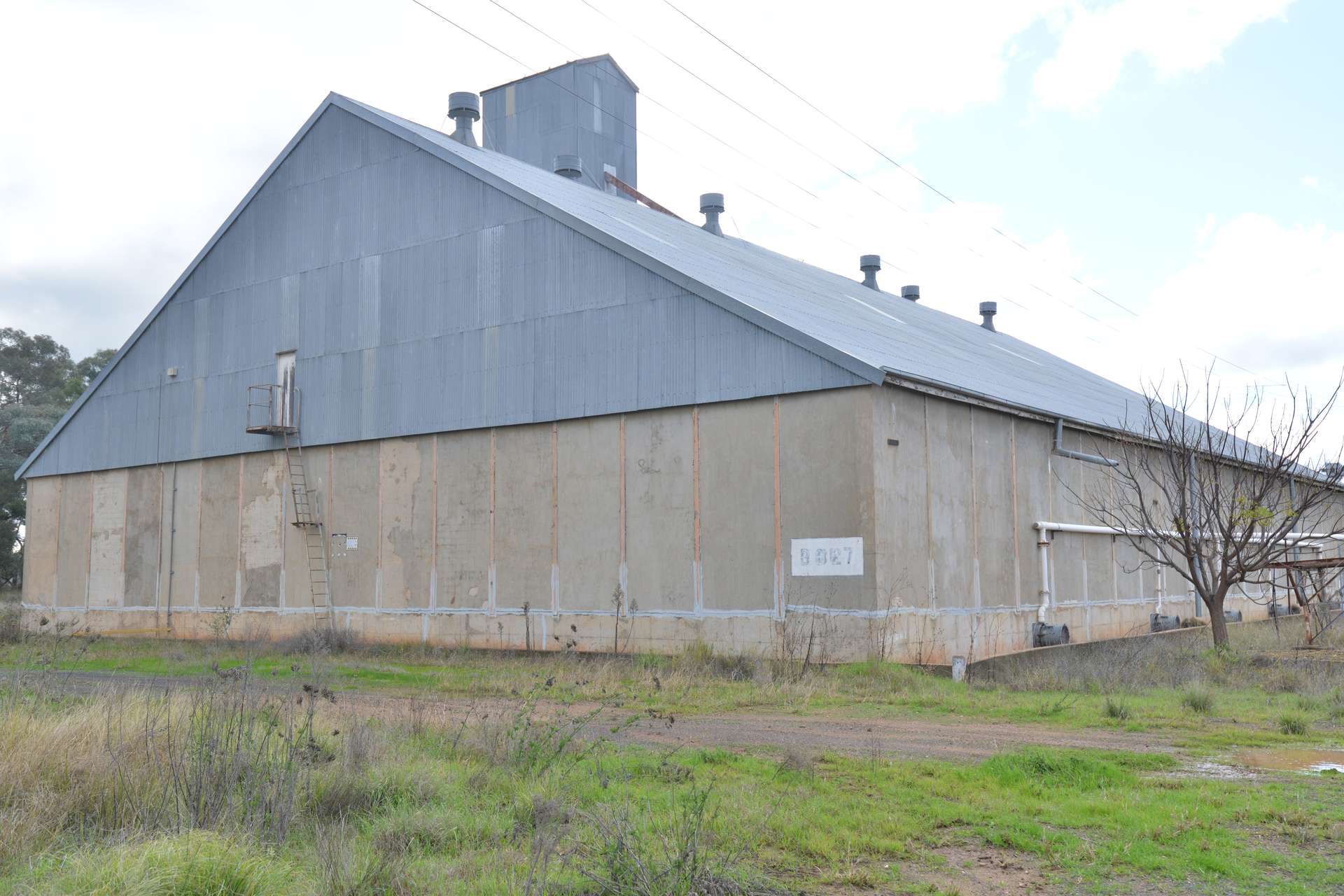 214 Merryula Road, Ulamambri Auction by Farmbuy.com - image 16