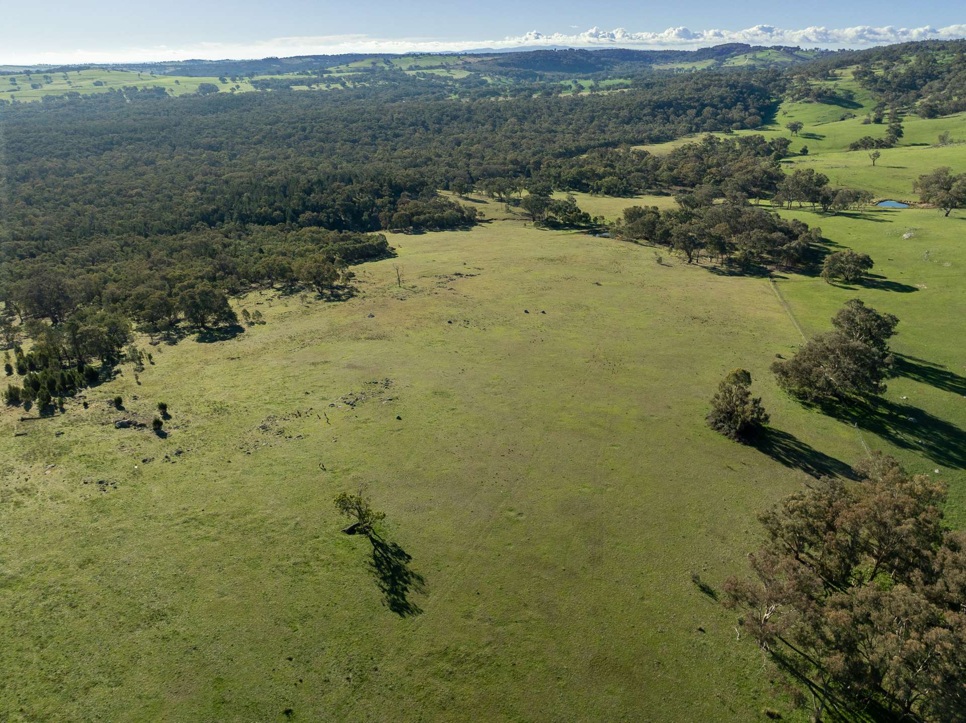 Lot 1, 244 Cobb Drive, Woodstock For Sale by Farmbuy.com - image 7