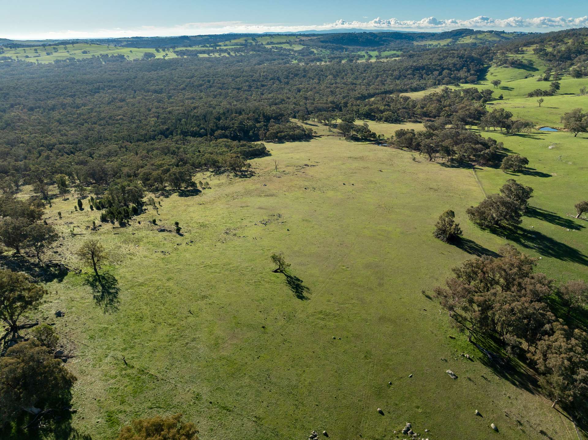 Lot 1, 244 Cobb Drive, Woodstock For Sale by Farmbuy.com - image 8
