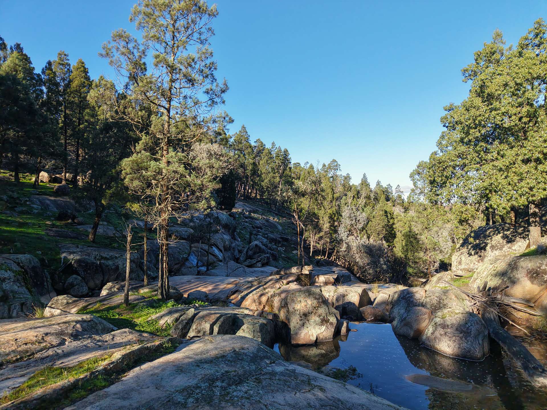 Lot 1, 244 Cobb Drive, Woodstock For Sale by Farmbuy.com - image 6