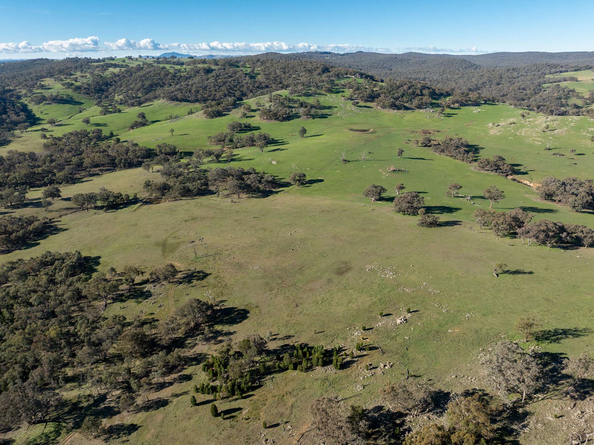 Lot 1, 244 Cobb Drive, Woodstock For Sale by Farmbuy.com - image 5