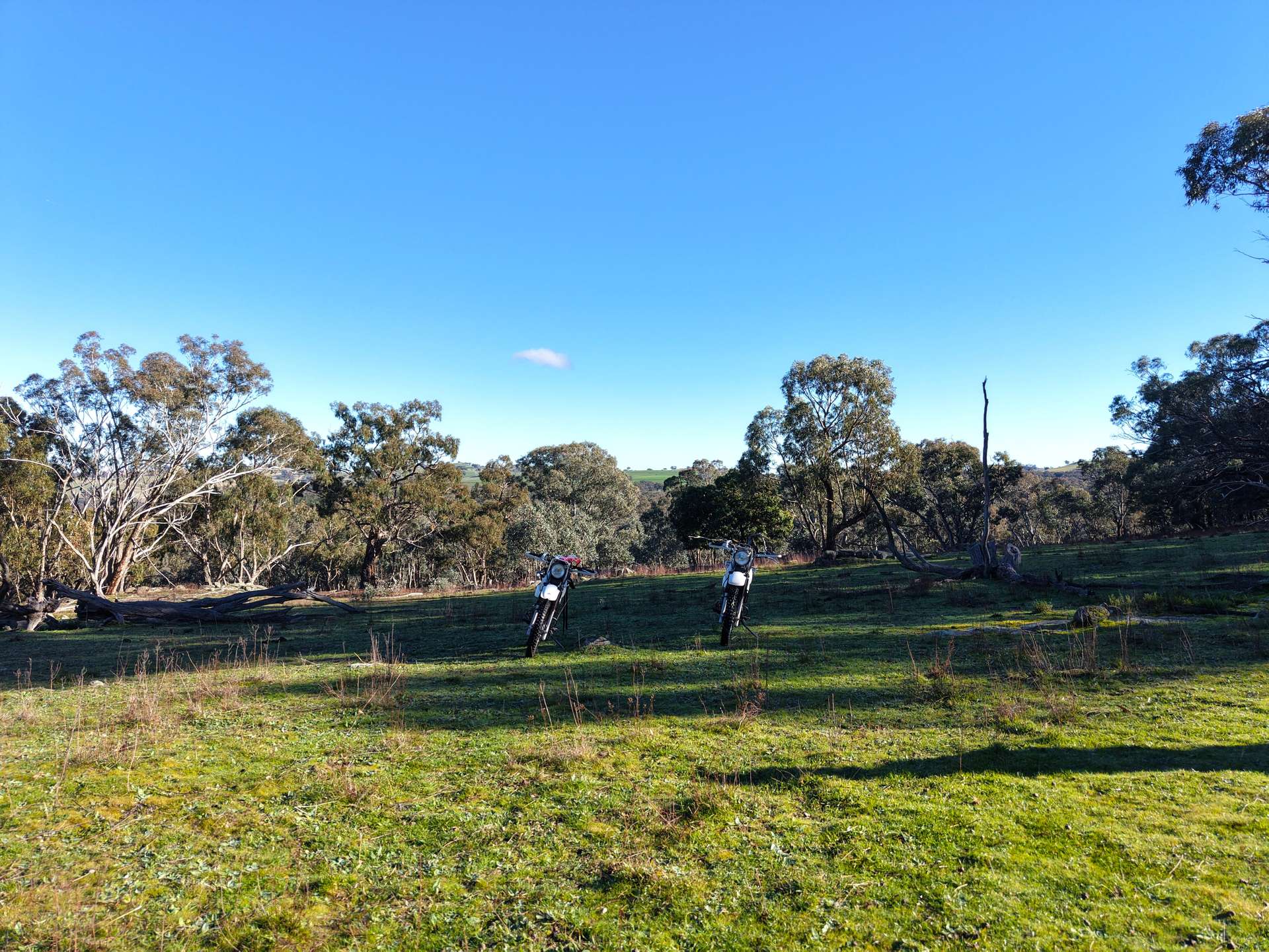 Lot 1, 244 Cobb Drive, Woodstock For Sale by Farmbuy.com - image 4
