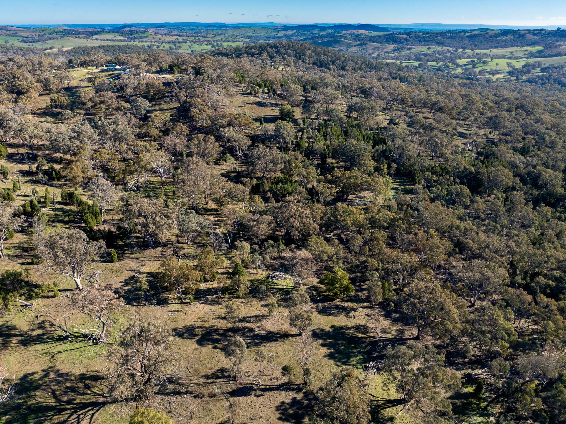 Lot 1, 244 Cobb Drive, Woodstock For Sale by Farmbuy.com - image 16