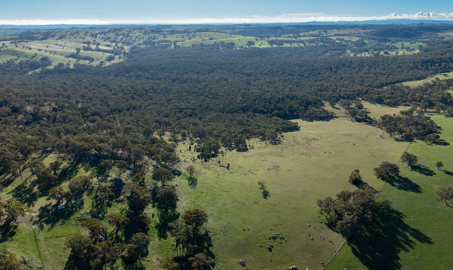 Lot 1, 244 Cobb Drive, Woodstock For Sale by Farmbuy.com - image 9