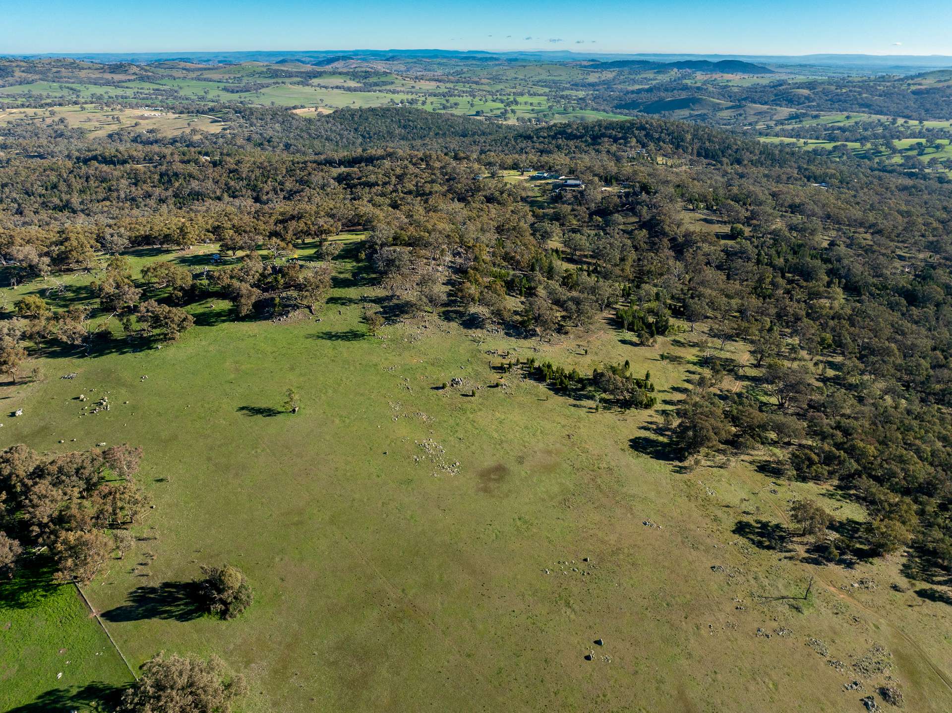Lot 1, 244 Cobb Drive, Woodstock For Sale by Farmbuy.com - image 10