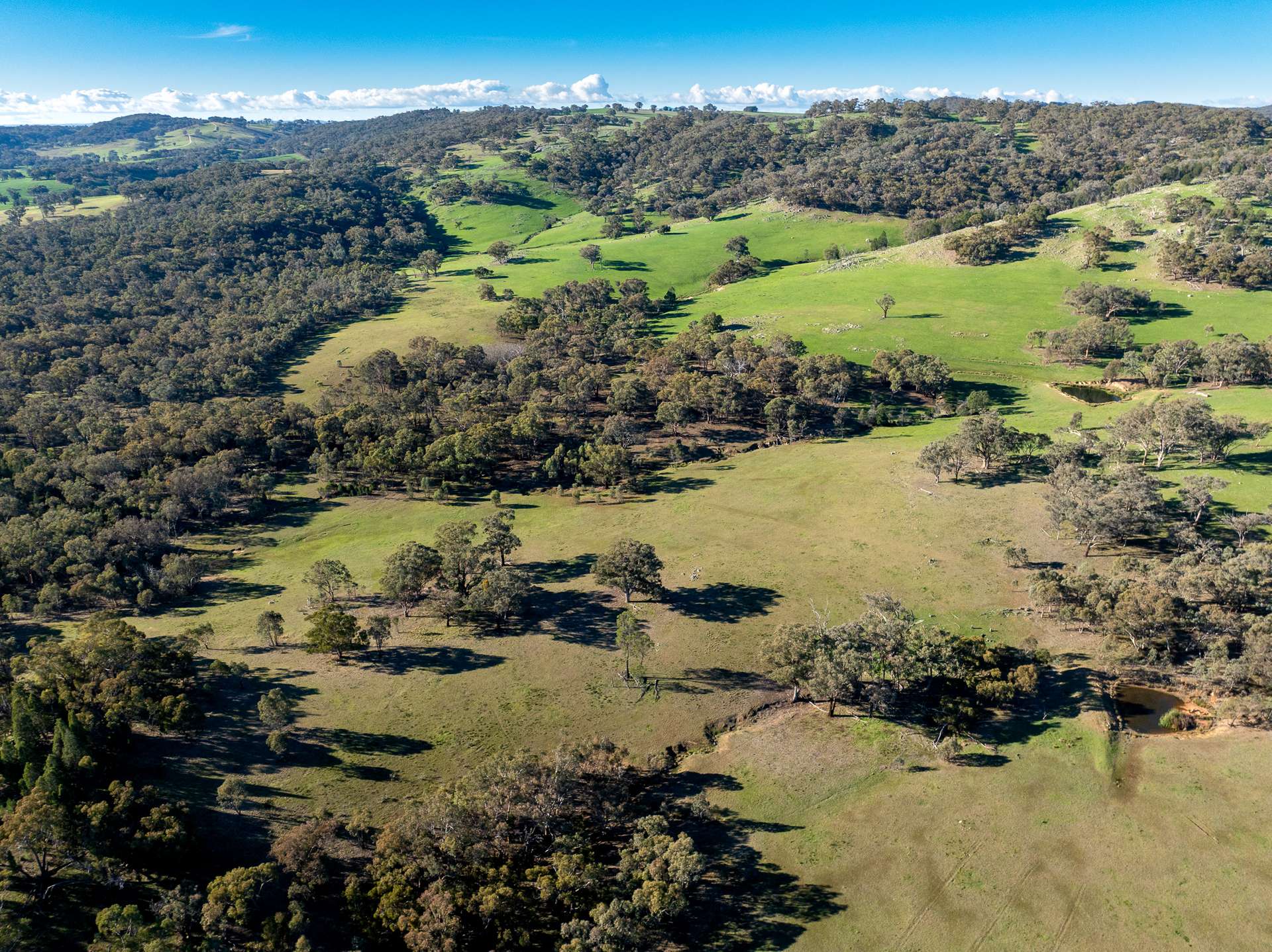 Lot 1, 244 Cobb Drive, Woodstock For Sale by Farmbuy.com - image 12