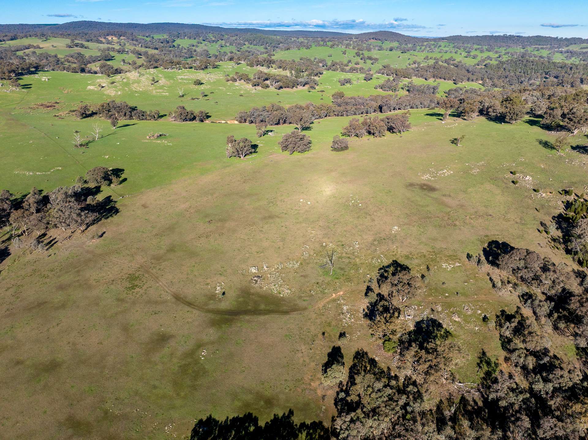 Lot 1, 244 Cobb Drive, Woodstock For Sale by Farmbuy.com - image 13
