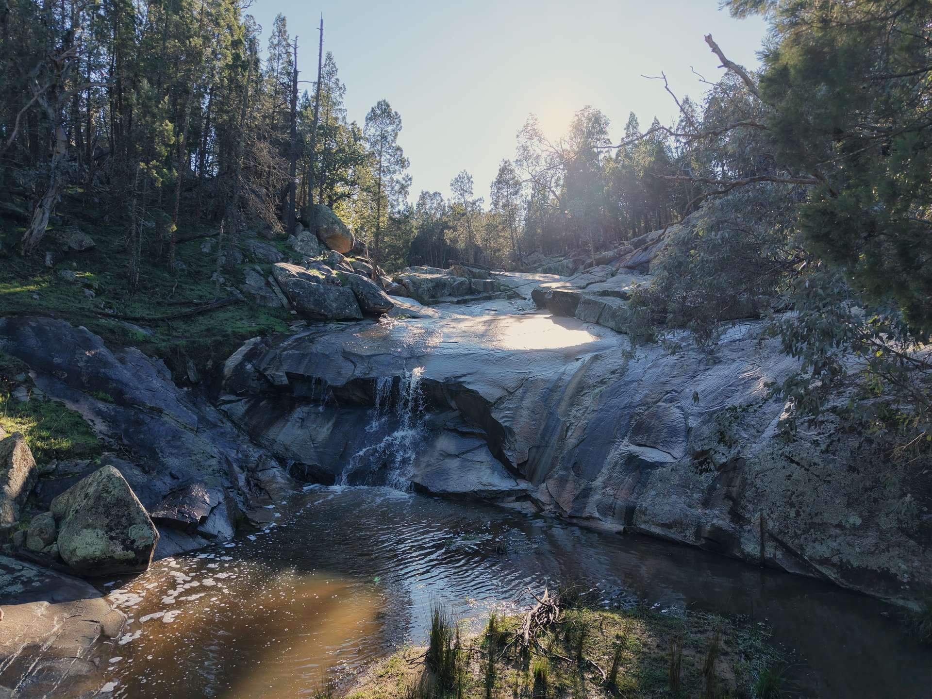 Lot 1, 244 Cobb Drive, Woodstock For Sale by Farmbuy.com - image 2