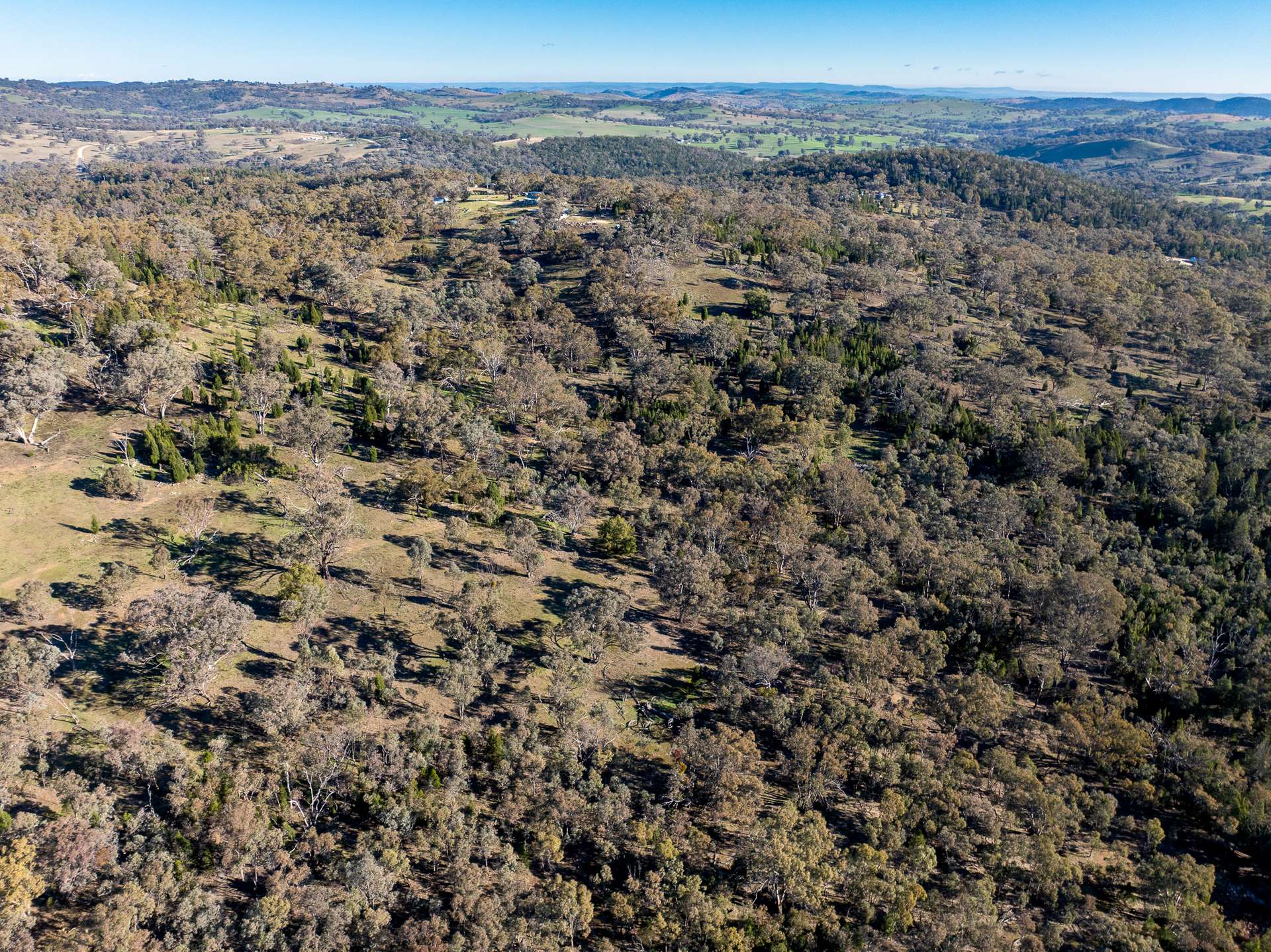 Lot 1, 244 Cobb Drive, Woodstock For Sale by Farmbuy.com - image 15