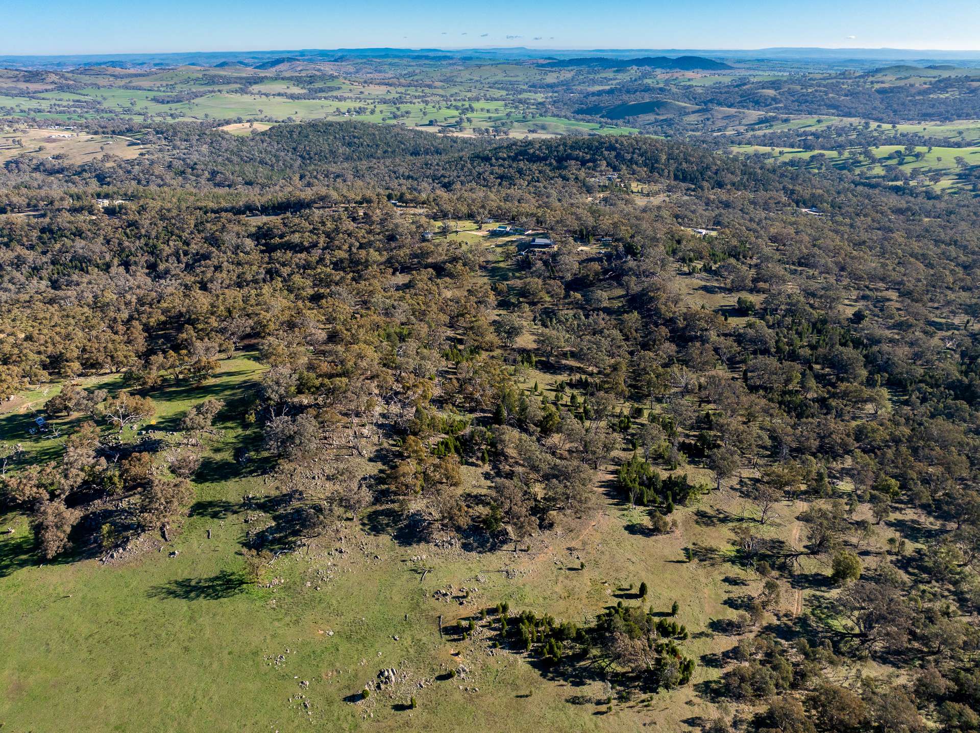 Lot 1, 244 Cobb Drive, Woodstock For Sale by Farmbuy.com - image 11