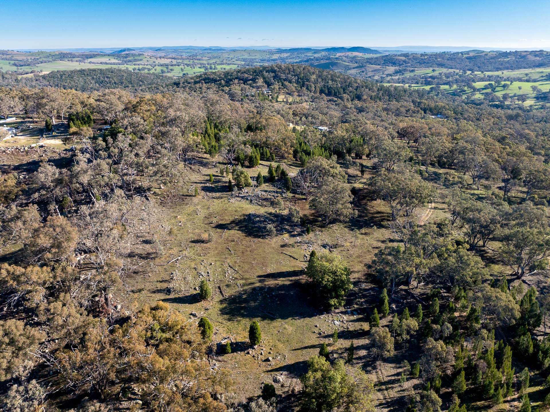 Lot 1, 244 Cobb Drive, Woodstock For Sale by Farmbuy.com - image 17