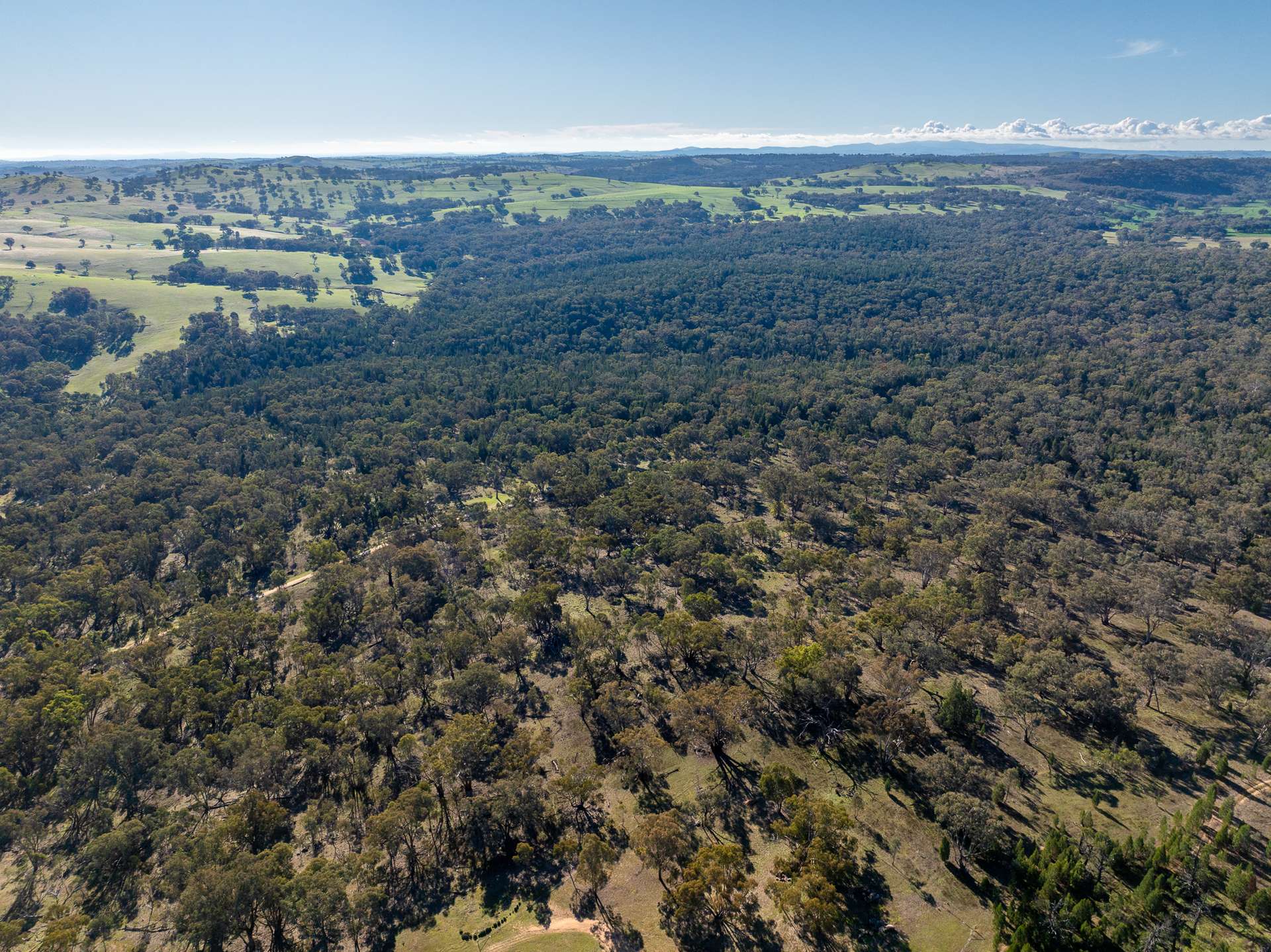 Lot 1, 244 Cobb Drive, Woodstock For Sale by Farmbuy.com - image 3