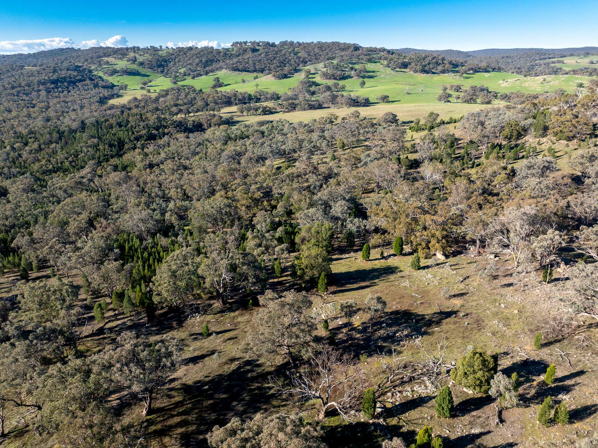 Lot 1, 244 Cobb Drive, Woodstock For Sale by Farmbuy.com - image 18