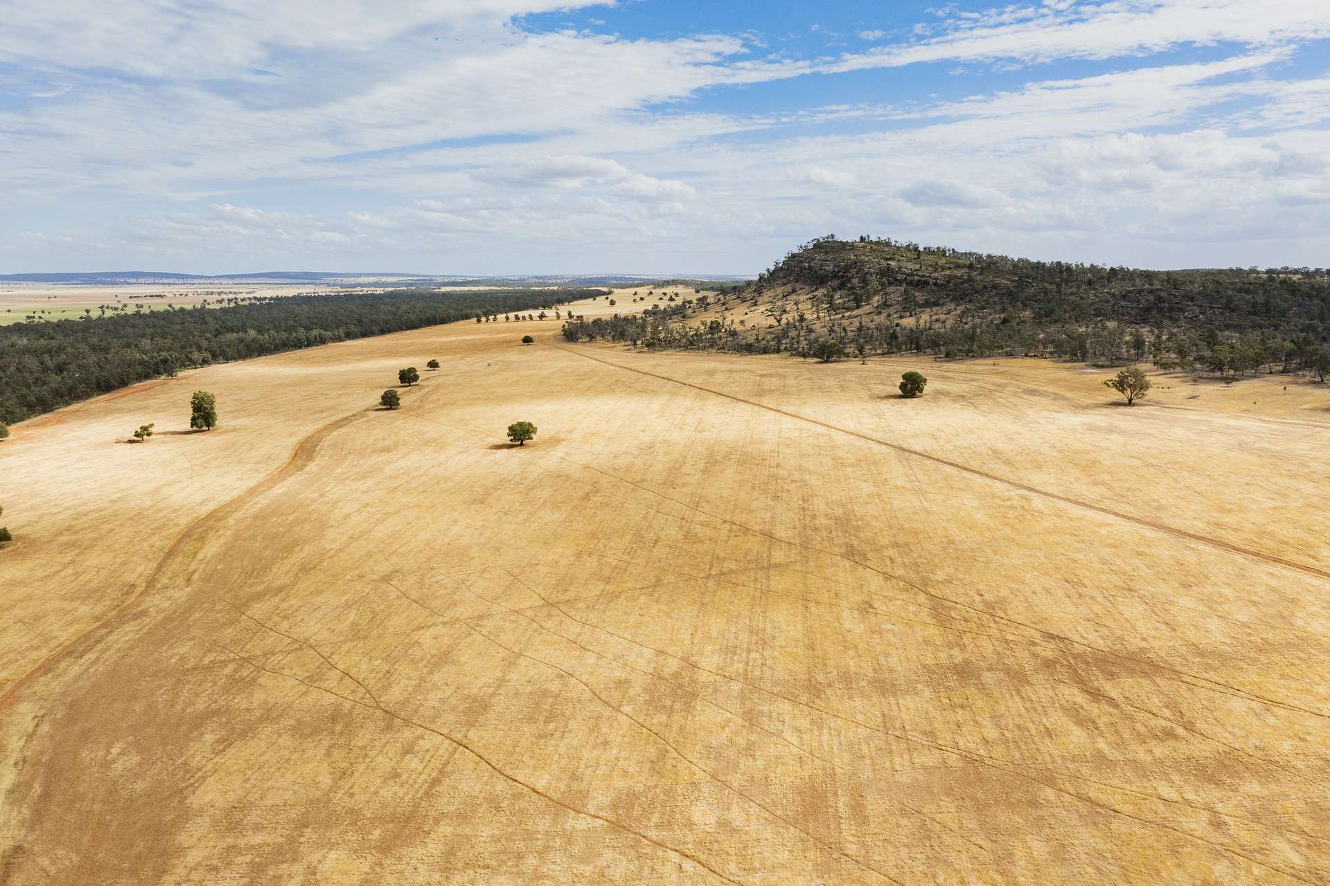 1147 Kamarah Road, Narrandera For Sale by Farmbuy.com - image 5