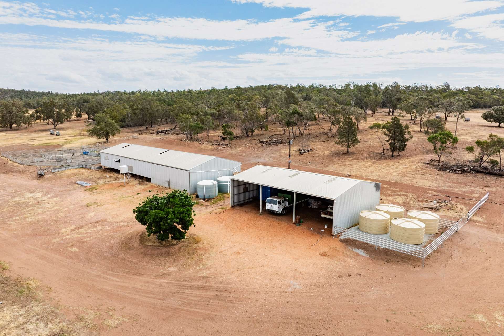 1147 Kamarah Road, Narrandera For Sale by Farmbuy.com - image 7