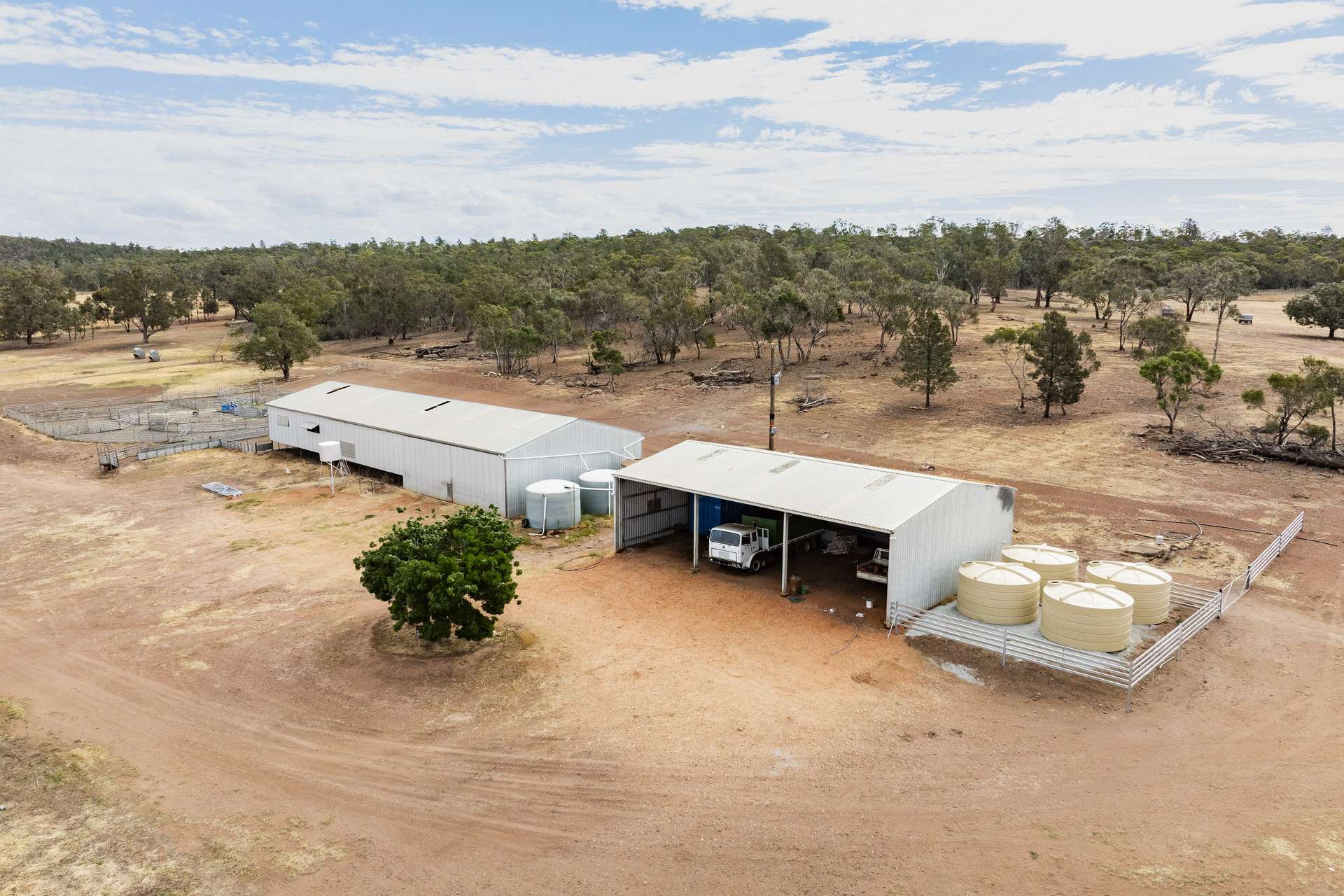 1147 Kamarah Road, Narrandera For Sale by Farmbuy.com - image 7