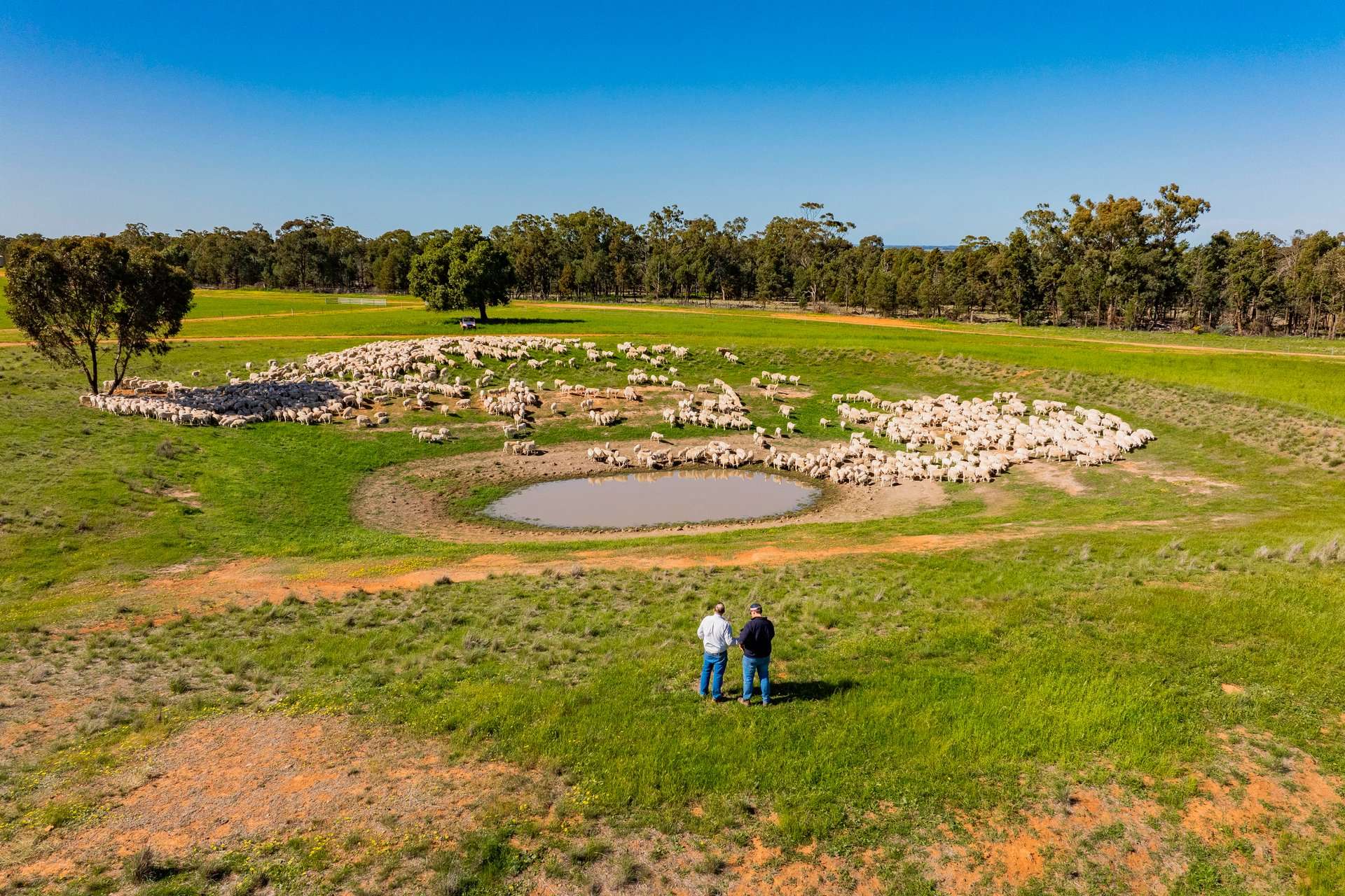 1147 Kamarah Road, Narrandera For Sale by Farmbuy.com - image 3